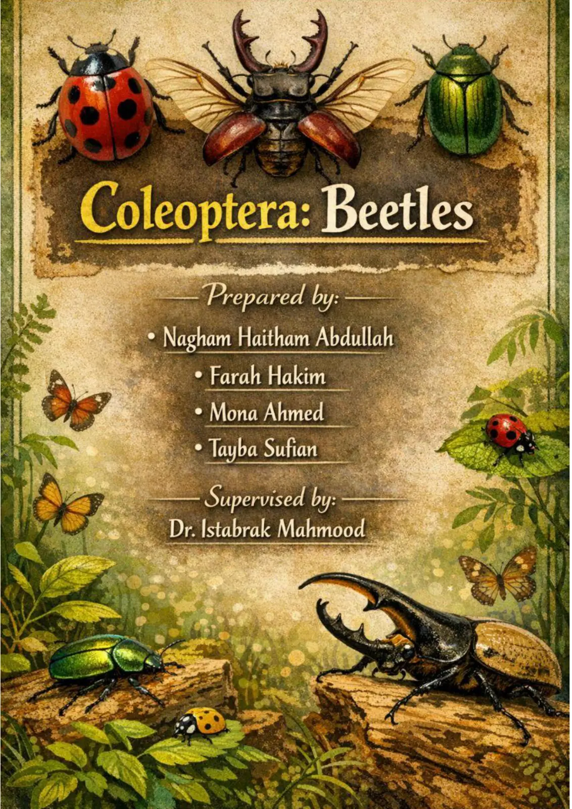 غلاف تقرير Coleoptera: Beetles