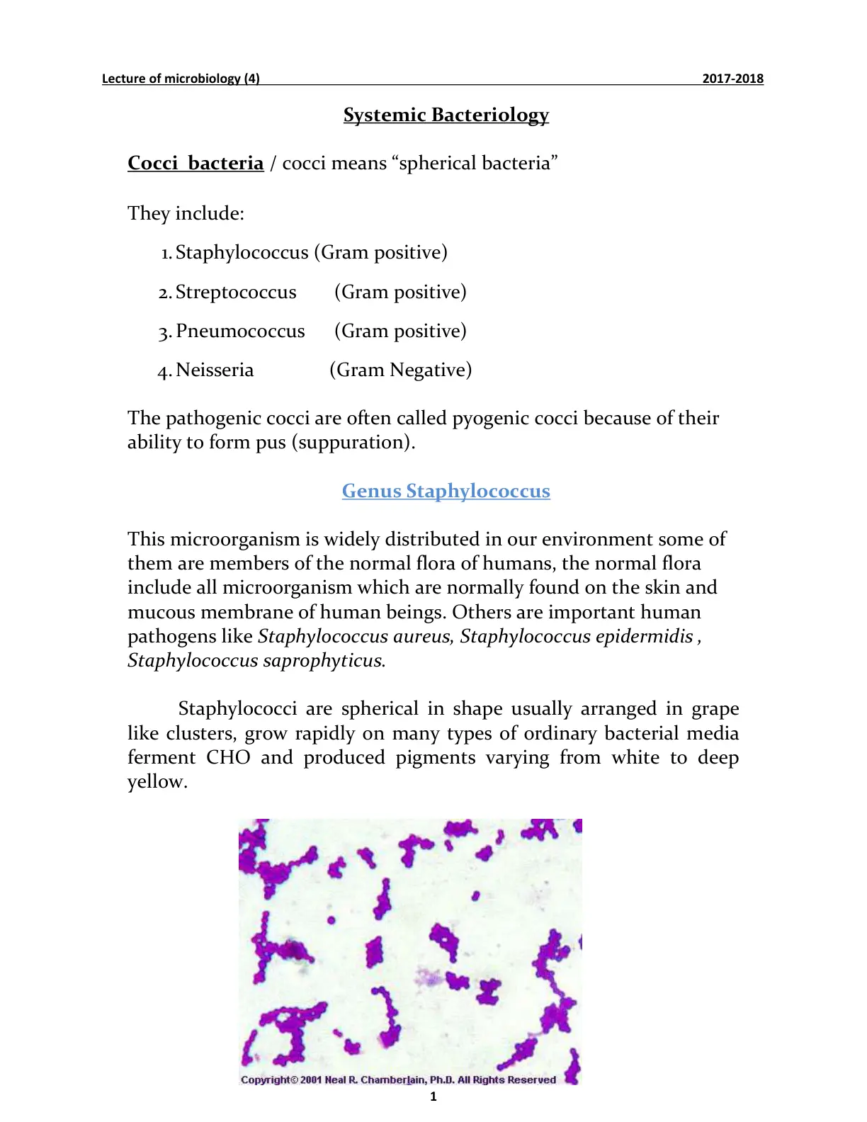غلاف تقرير Lecture of microbiology (4) Systemic Bacteriology