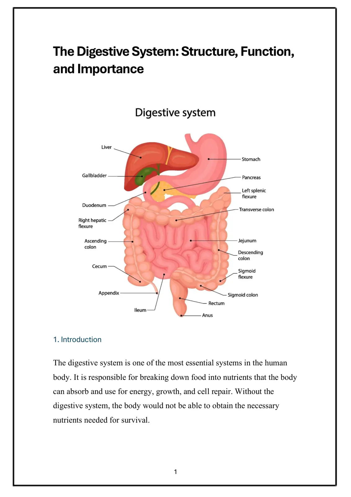 غلاف تقرير The Digestive System: Structure, Function, and Importance