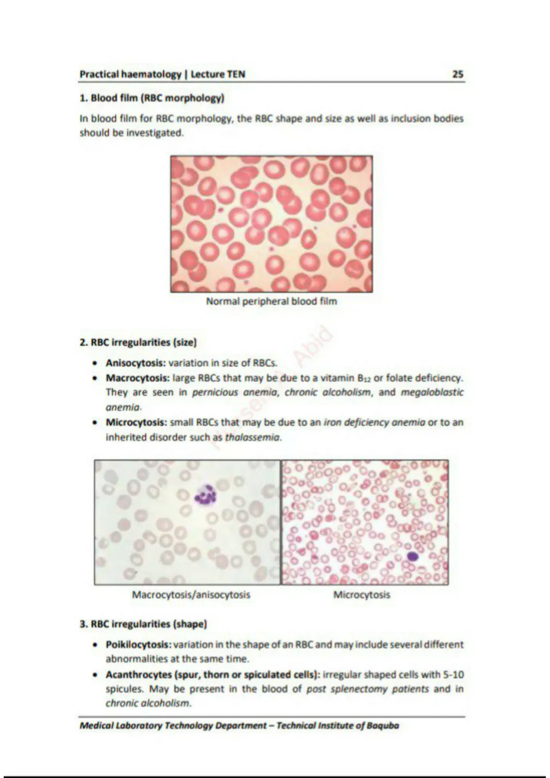 غلاف تقرير Practical Haematology | Lecture Ten