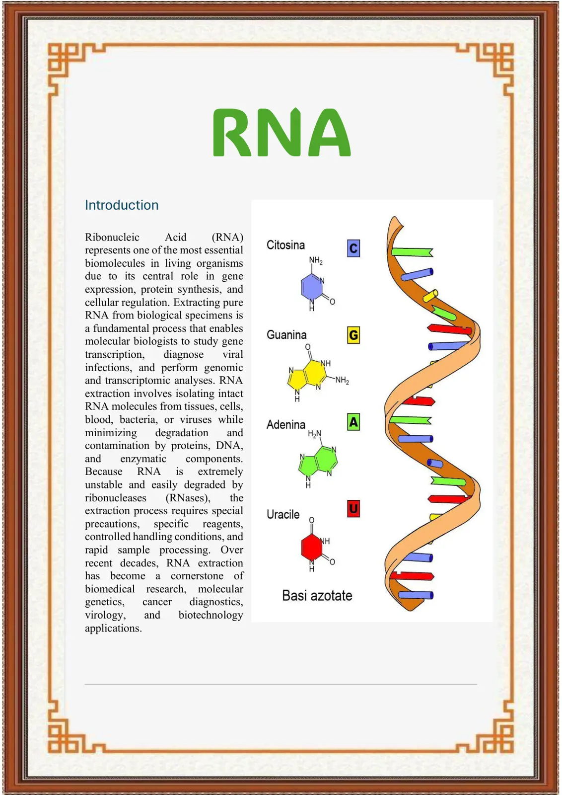 غلاف تقرير RNA - Ribonucleic Acid