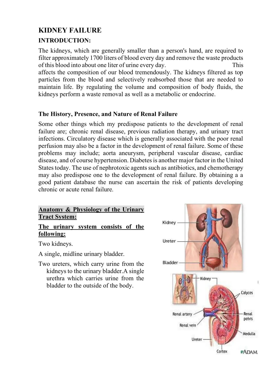 غلاف تقرير Kidney Failure