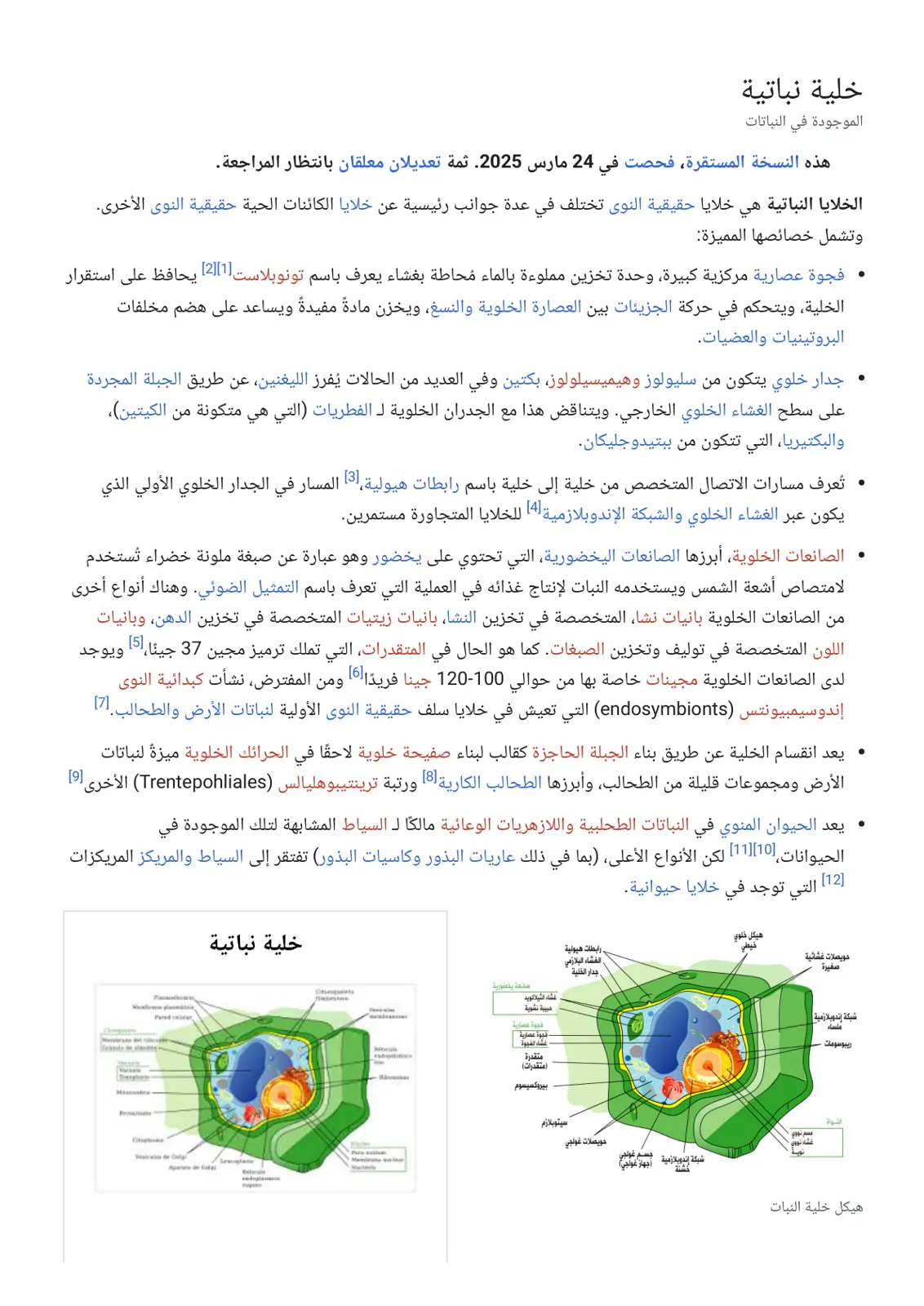 غلاف تقرير خلية نباتية