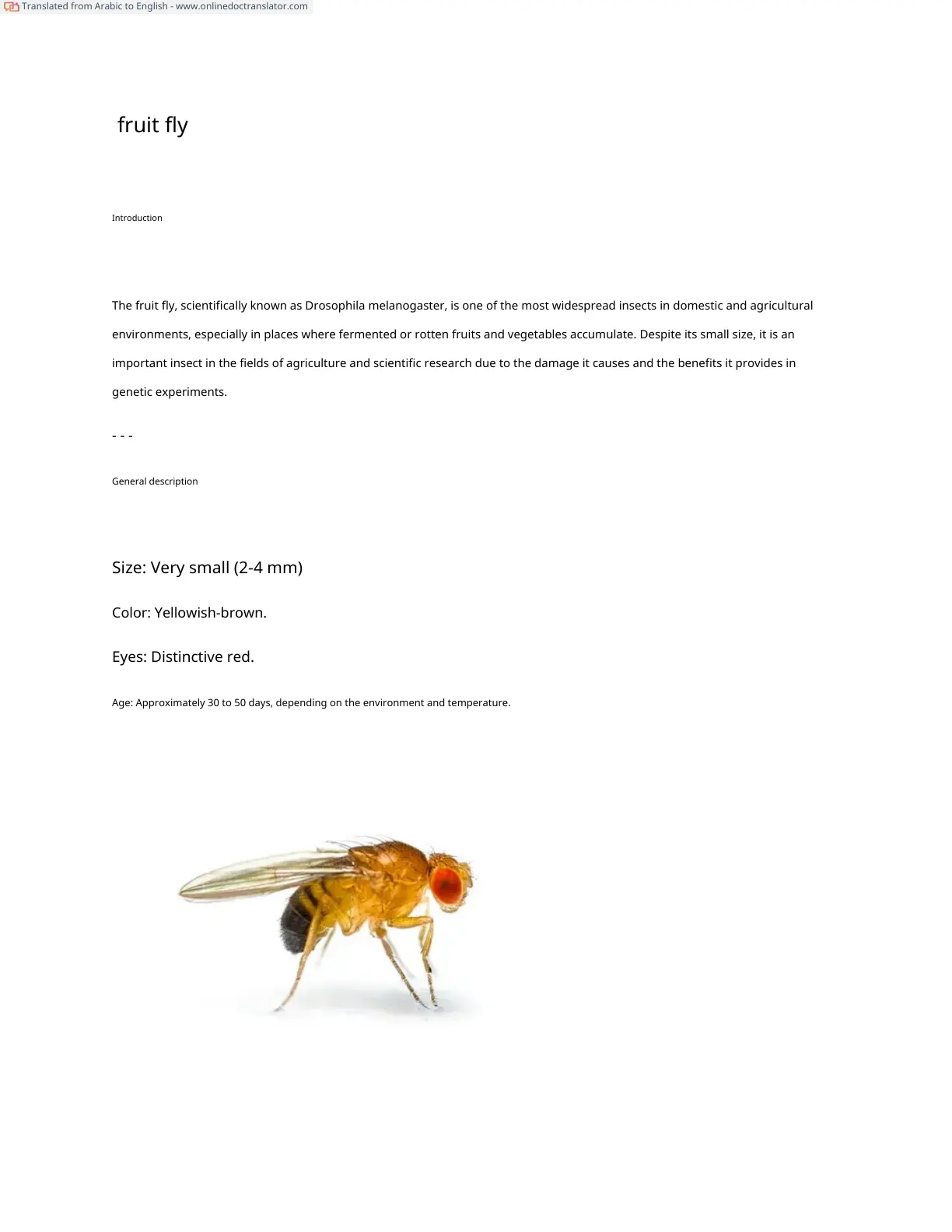 غلاف تقرير fruit fly