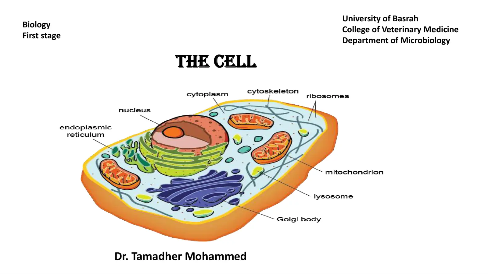 غلاف تقرير Biology First Stage: THE CELL