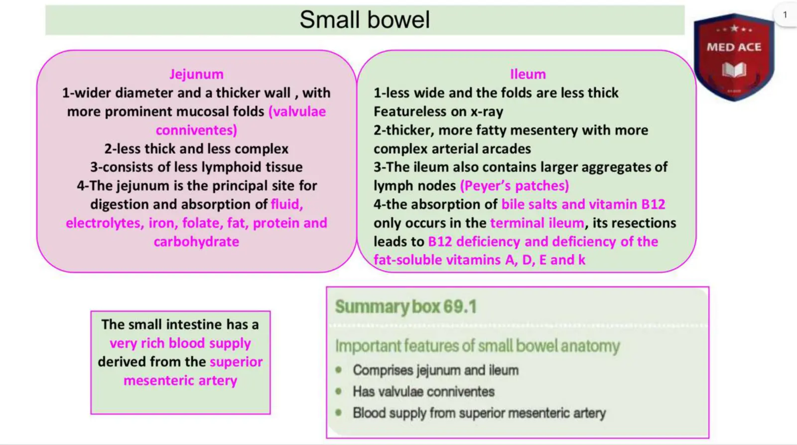 غلاف تقرير Small Bowel - Jejunum and Ileum