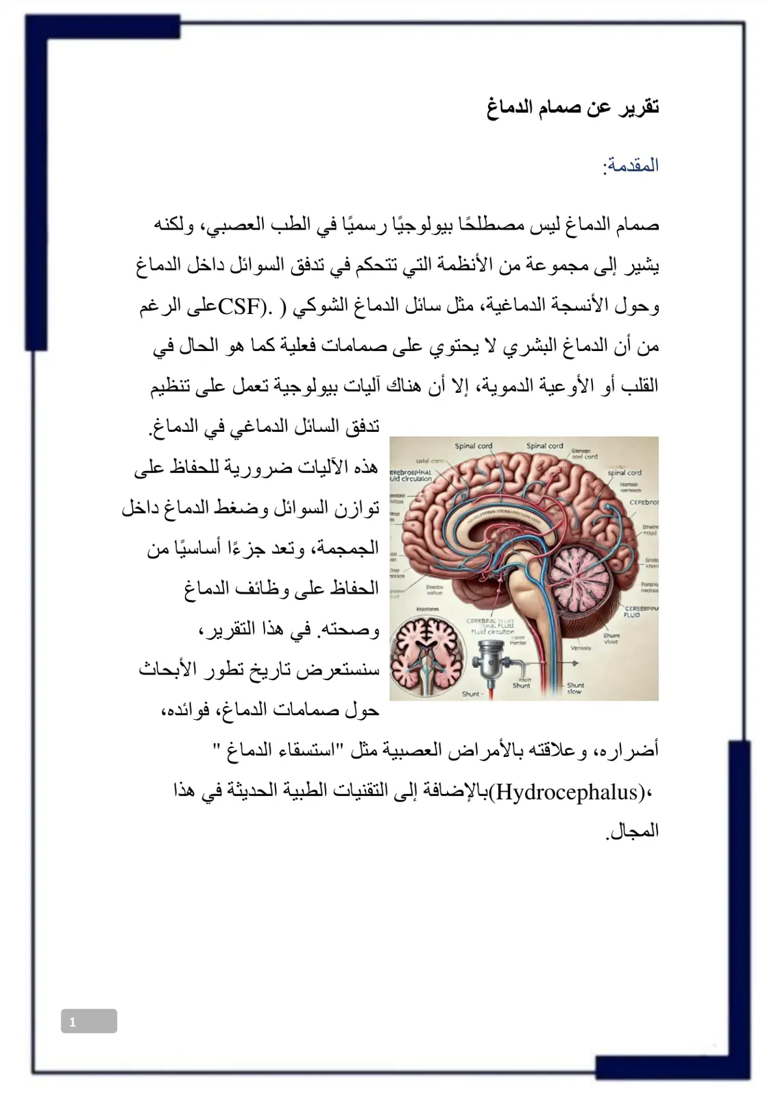 غلاف تقرير تقرير عن صمام الدماغ