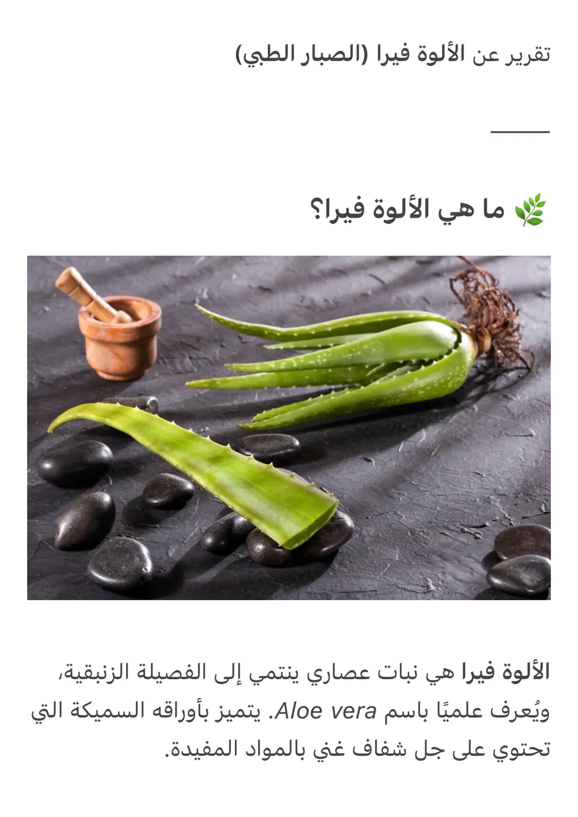 غلاف تقرير تقرير عن الألوة فيرا الصبار الطبي