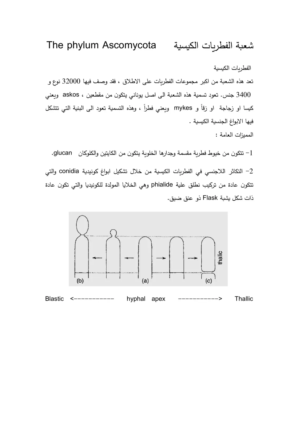 غلاف تقرير The phylum Ascomycota - شعبة الفطريات الكيسية