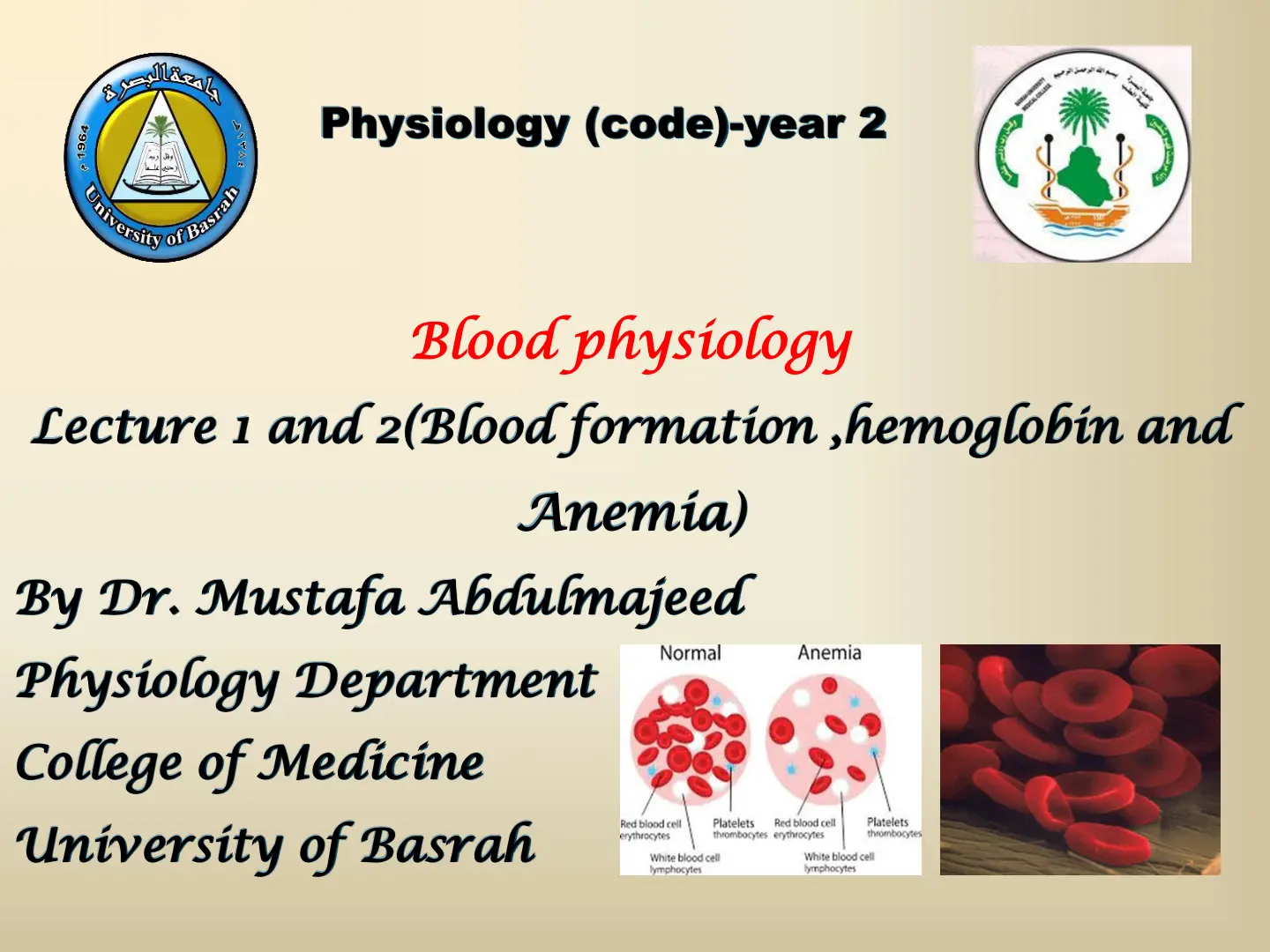 غلاف تقرير Blood physiology