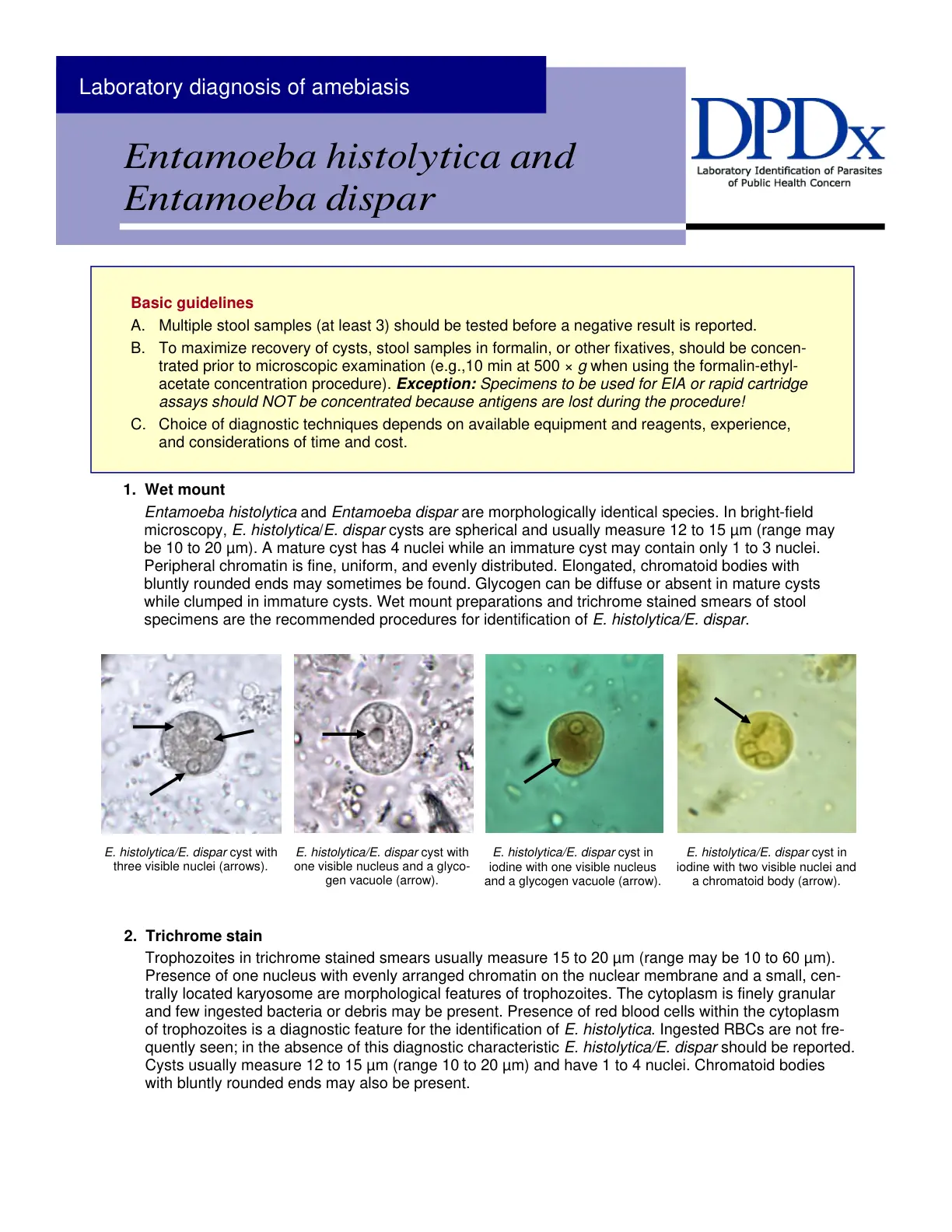 غلاف تقرير Laboratory diagnosis of amebiasis Entamoeba histolytica and Entamoeba dispar