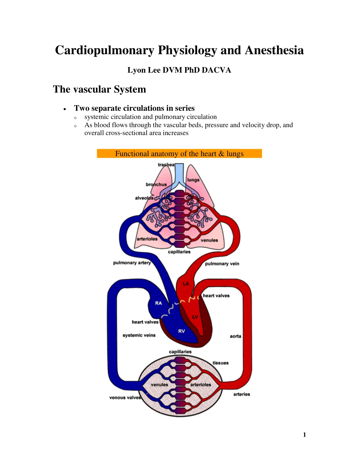 غلاف تقرير Cardiopulmonary Physiology and Anesthesia