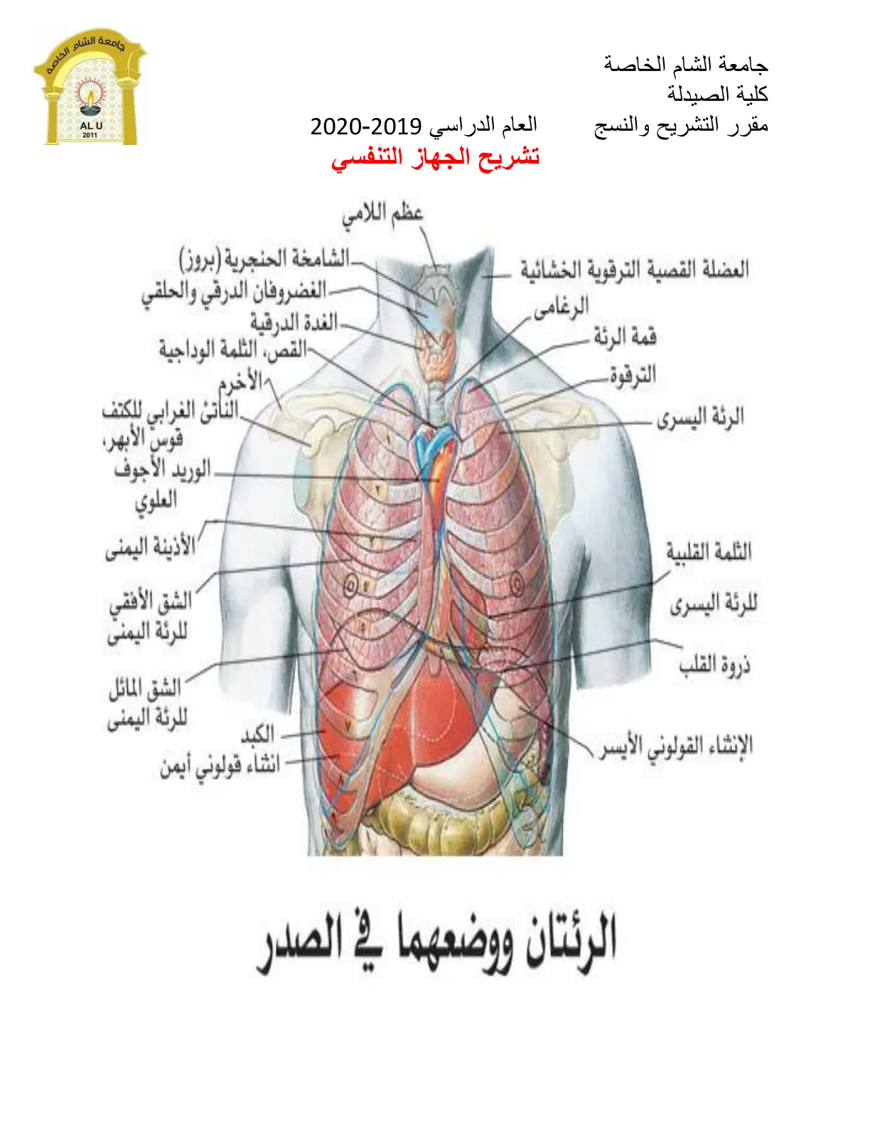 غلاف تقرير تشريح الجهاز التنفسي