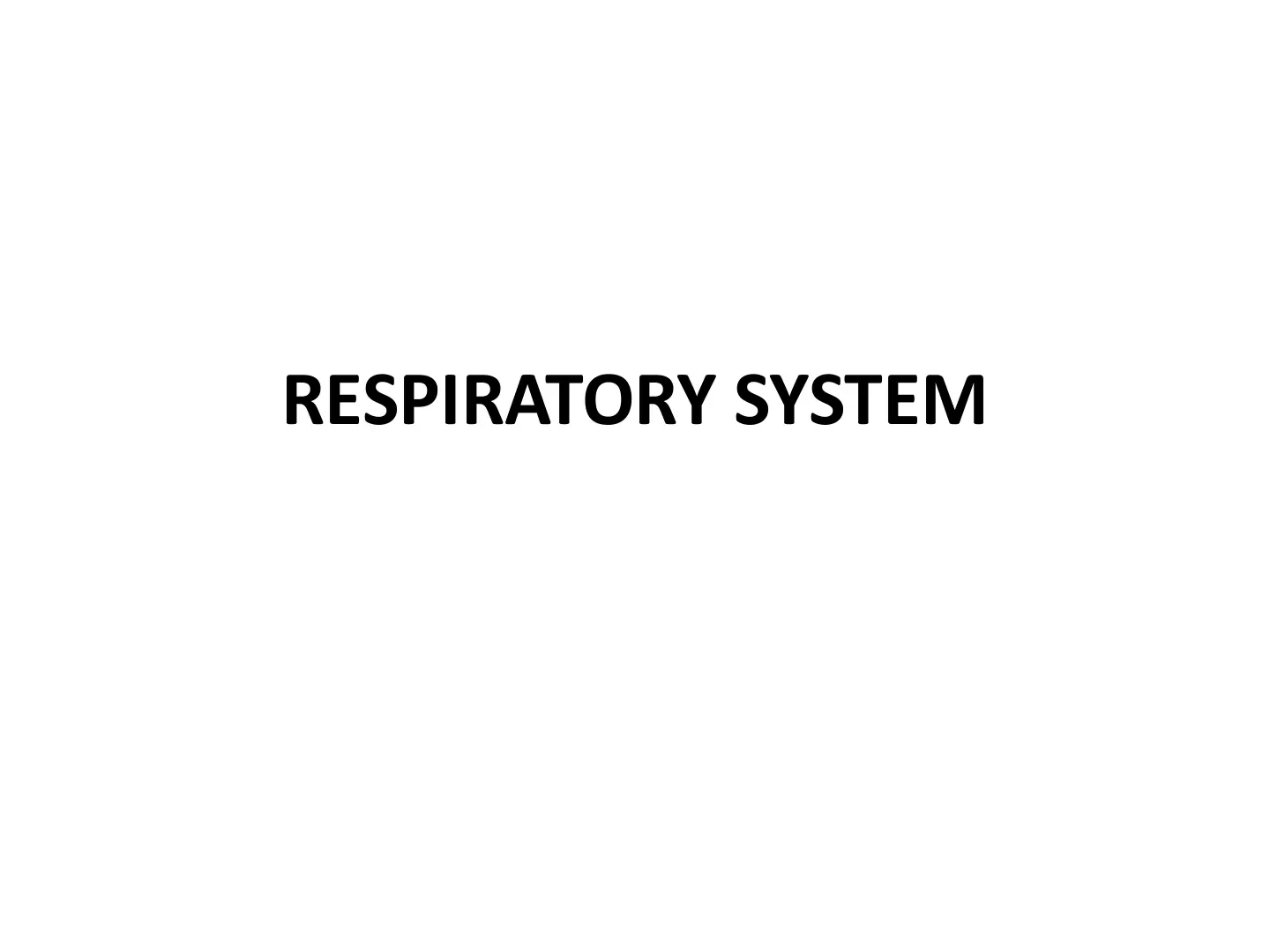 غلاف تقرير RESPIRATORY SYSTEM