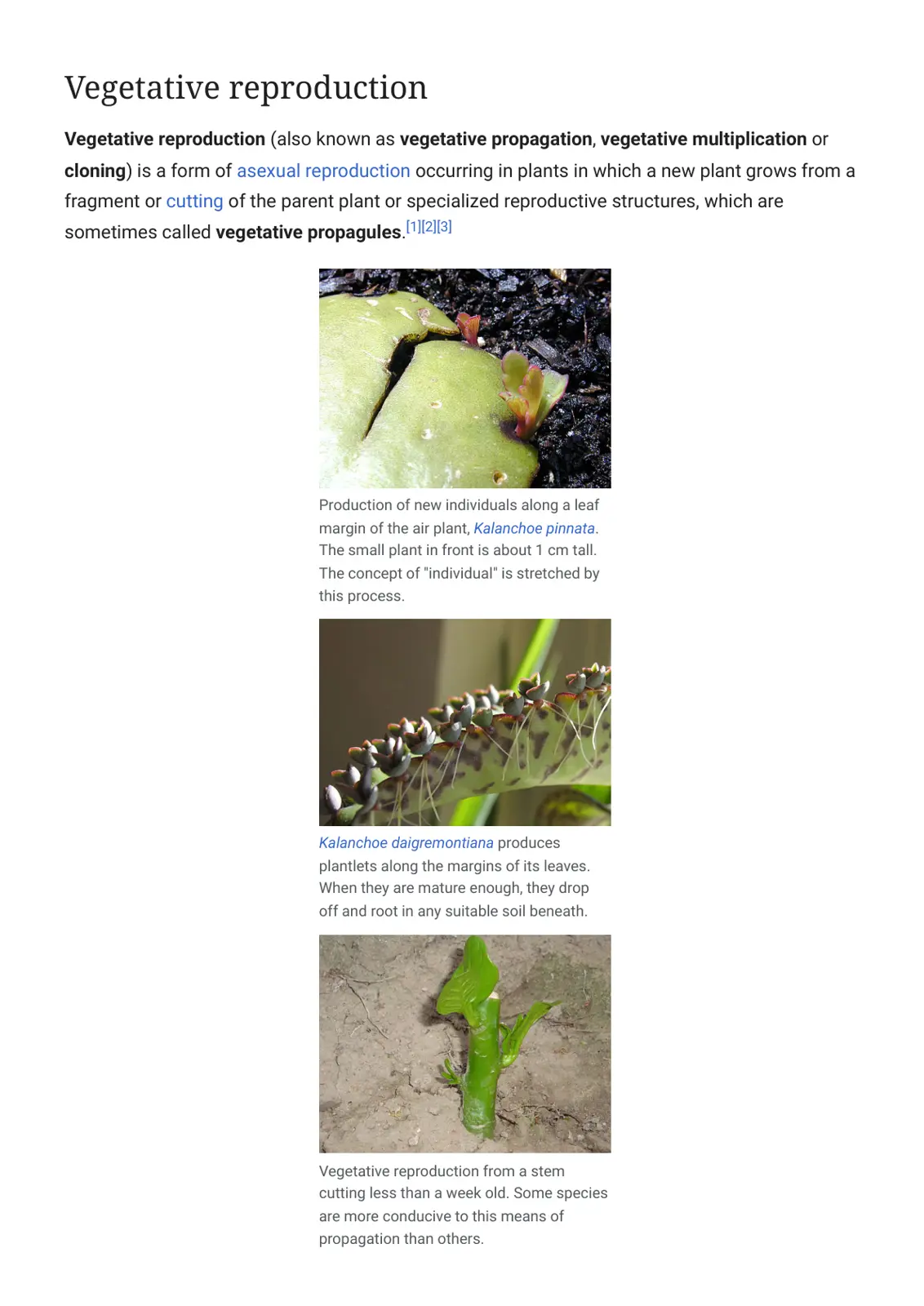 غلاف تقرير Vegetative reproduction