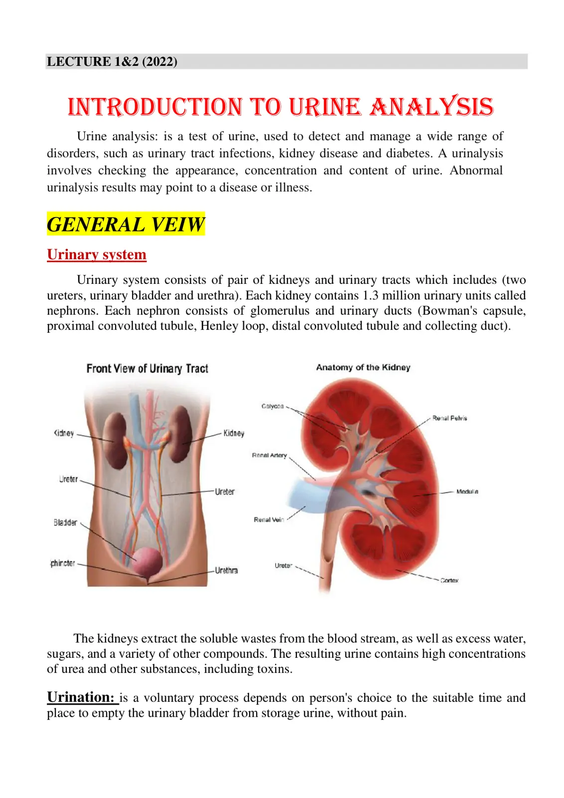 غلاف تقرير Introduction to Urine Analysis - Lecture 1&2 (2022)