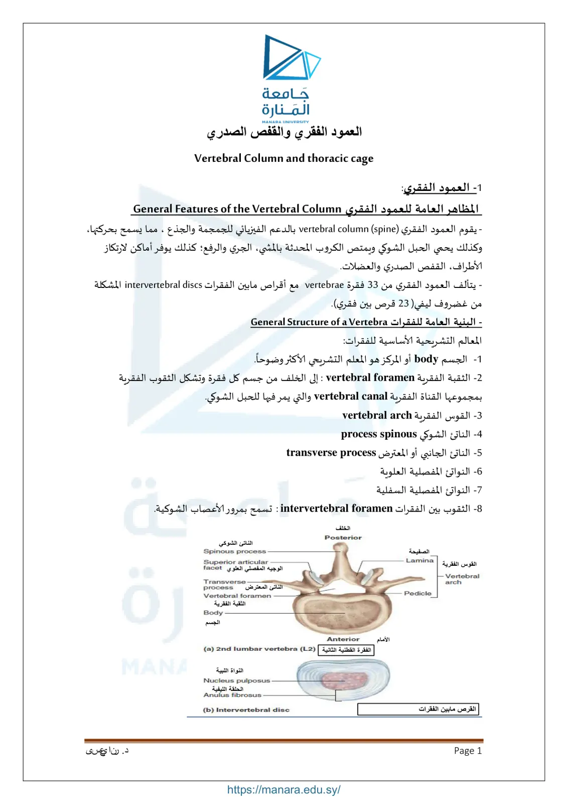 غلاف تقرير العمود الفقري والقفص الصدري