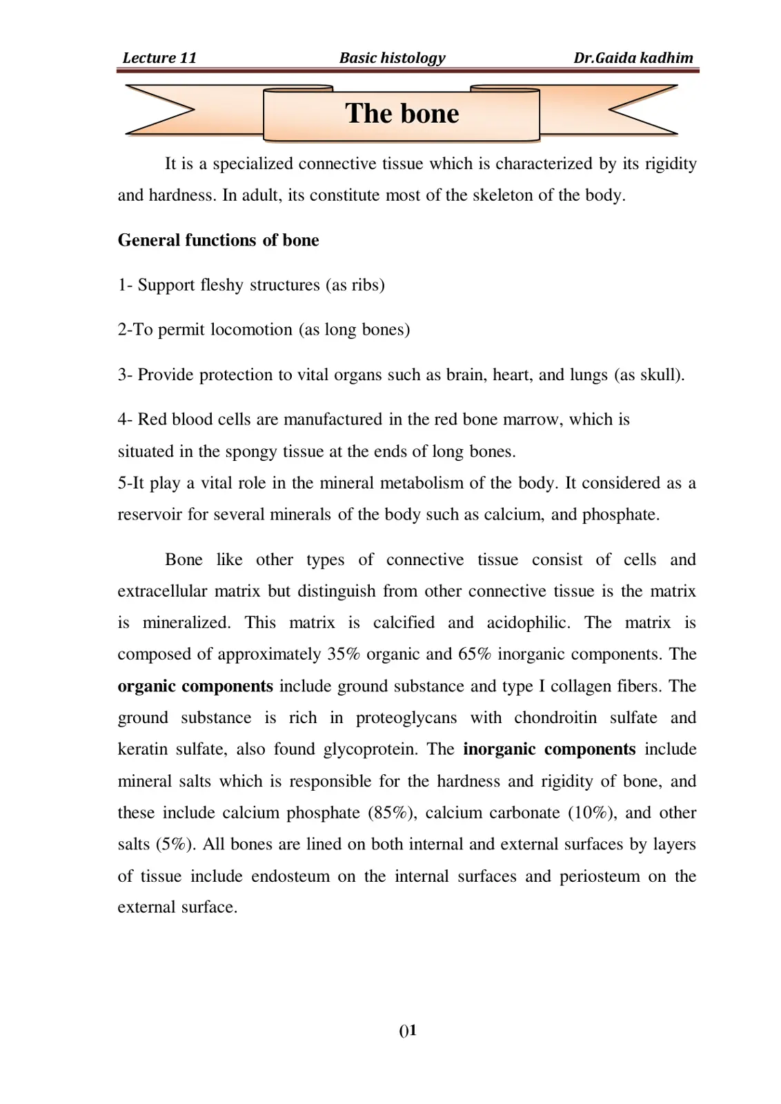 غلاف تقرير Basic histology The bone
