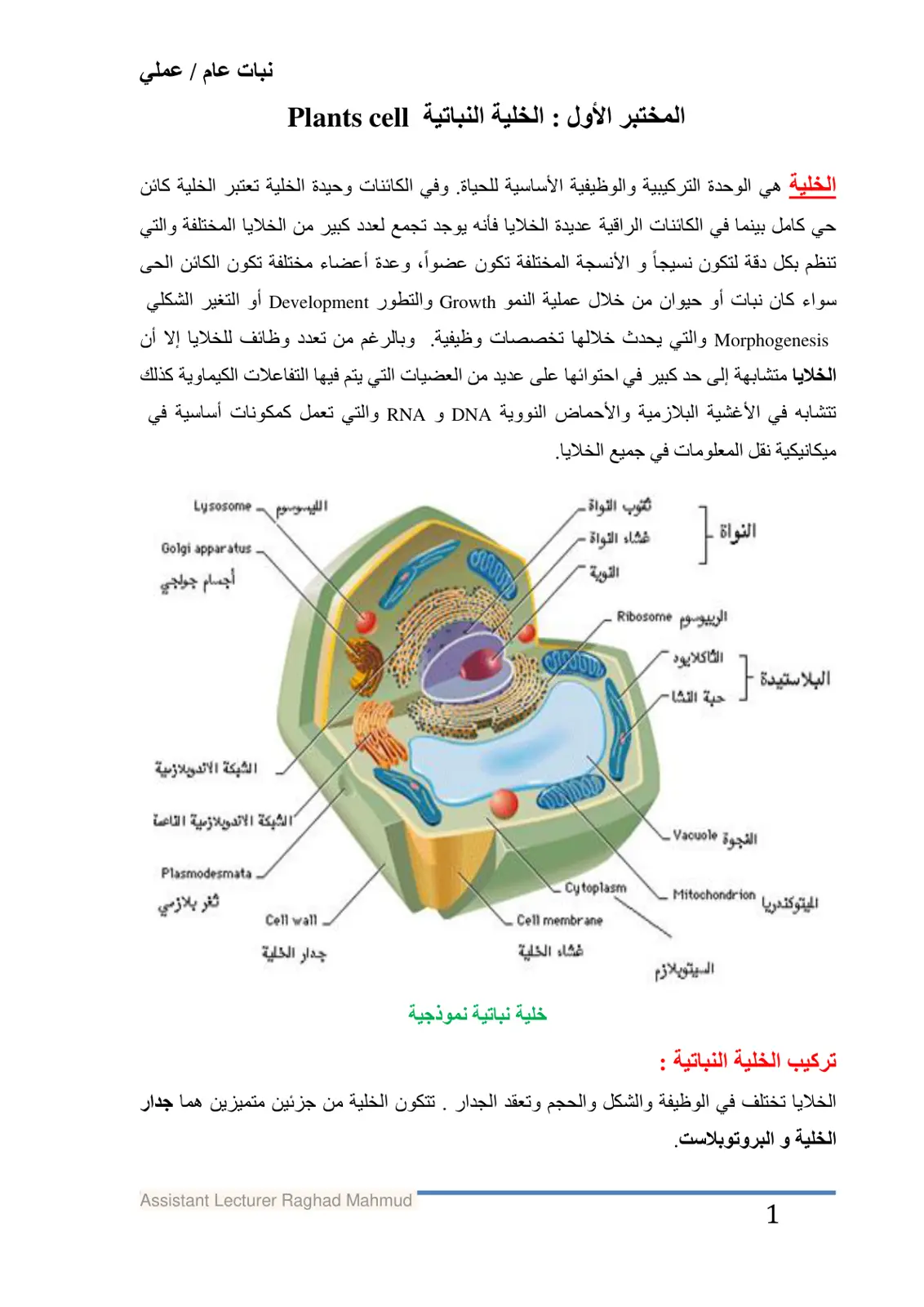 غلاف تقرير الخلية النباتية Plants cell