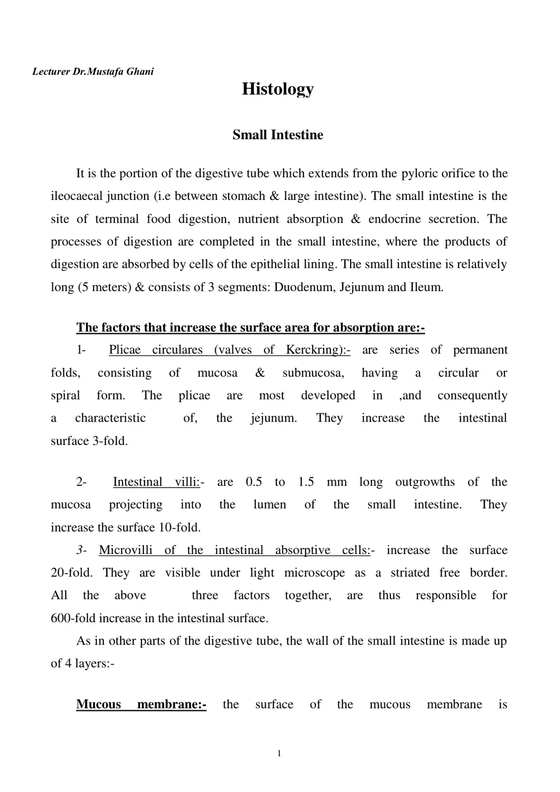 غلاف تقرير Histology
Small Intestine