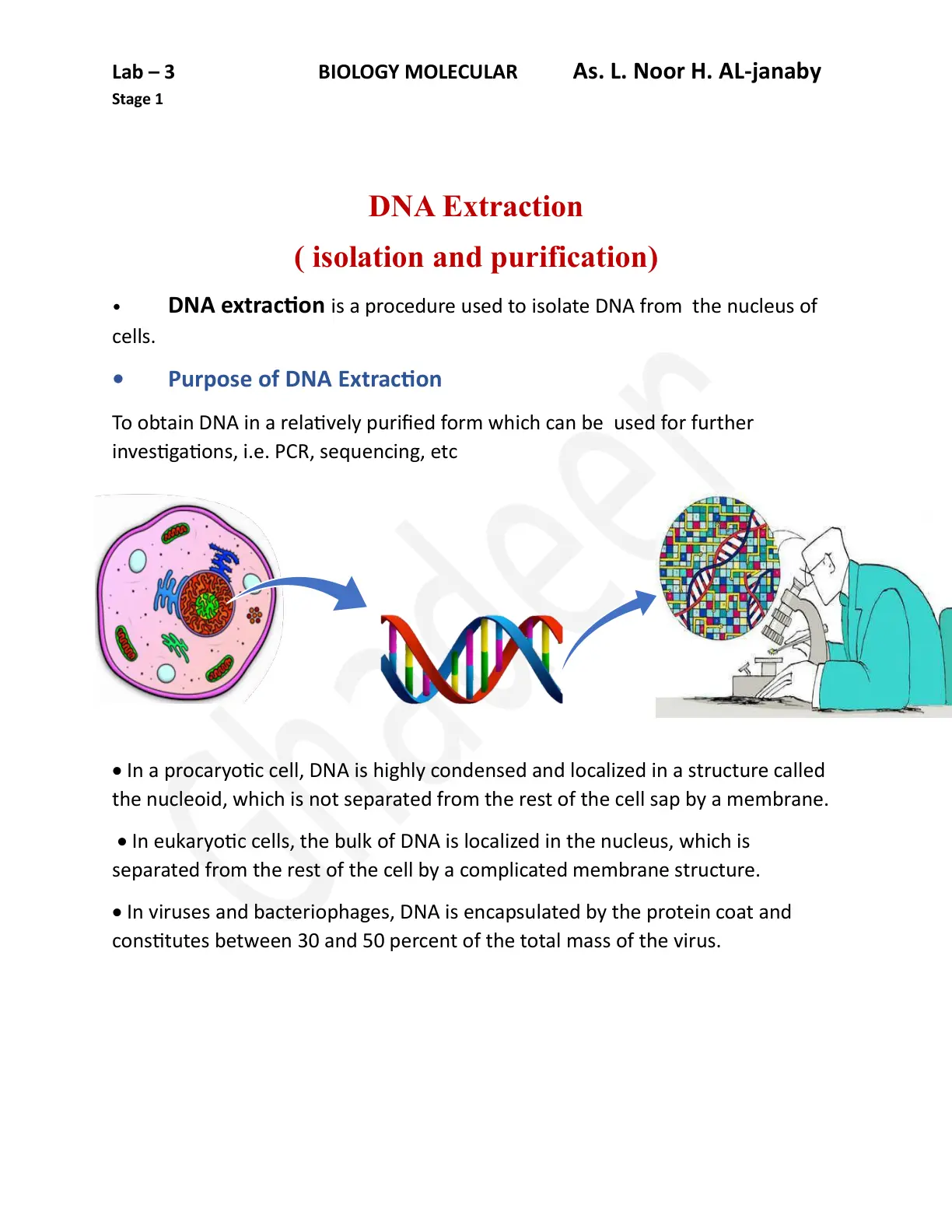 غلاف تقرير DNA Extraction (isolation and purification)