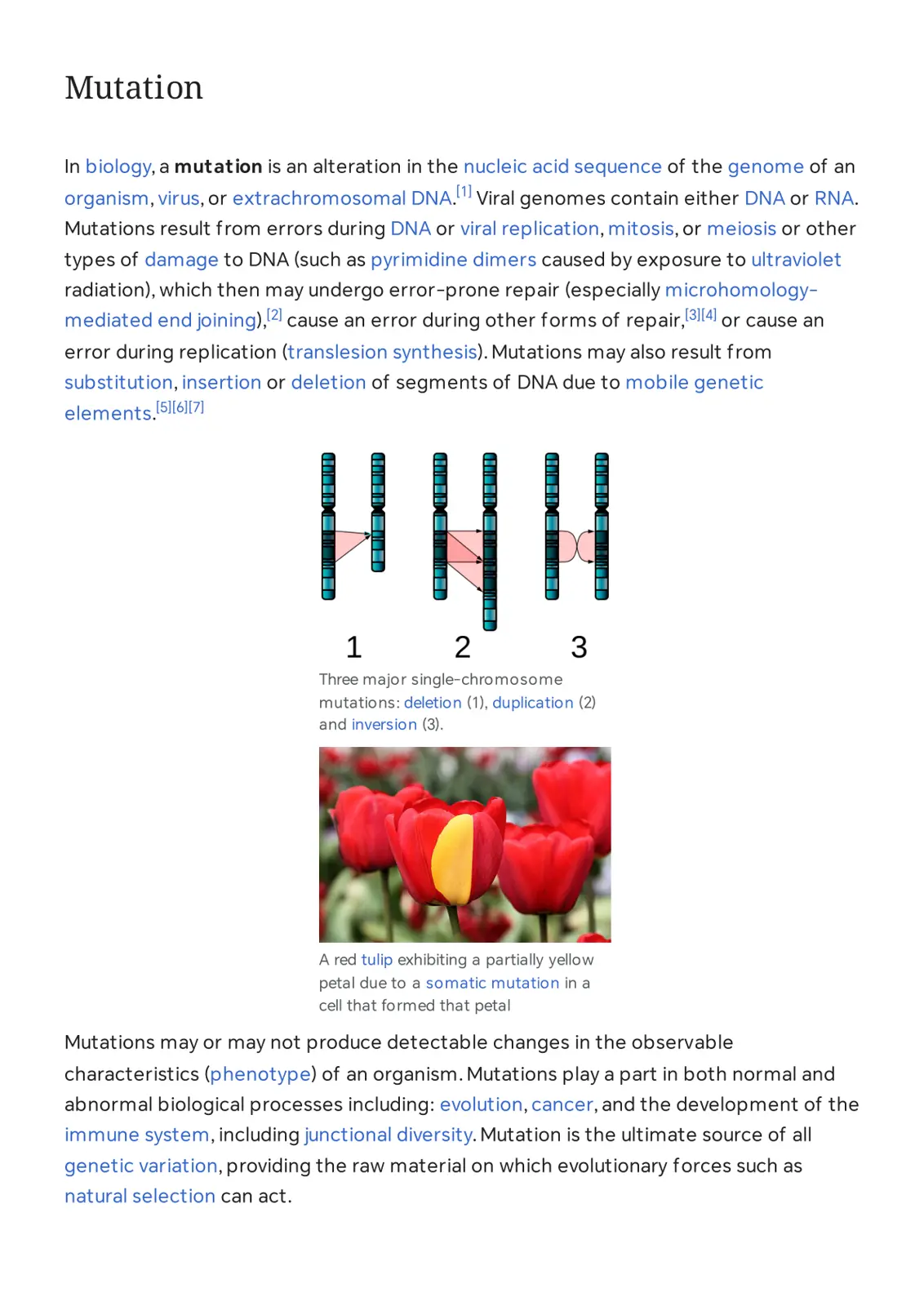 غلاف تقرير Mutation