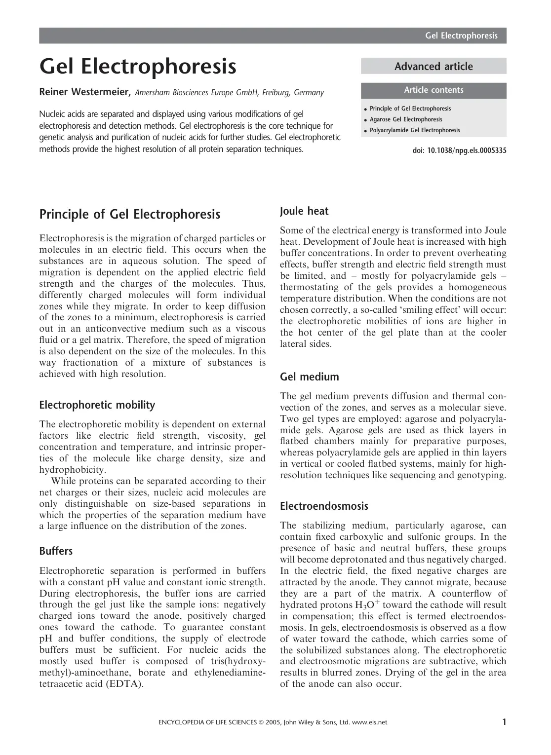 غلاف تقرير Gel Electrophoresis