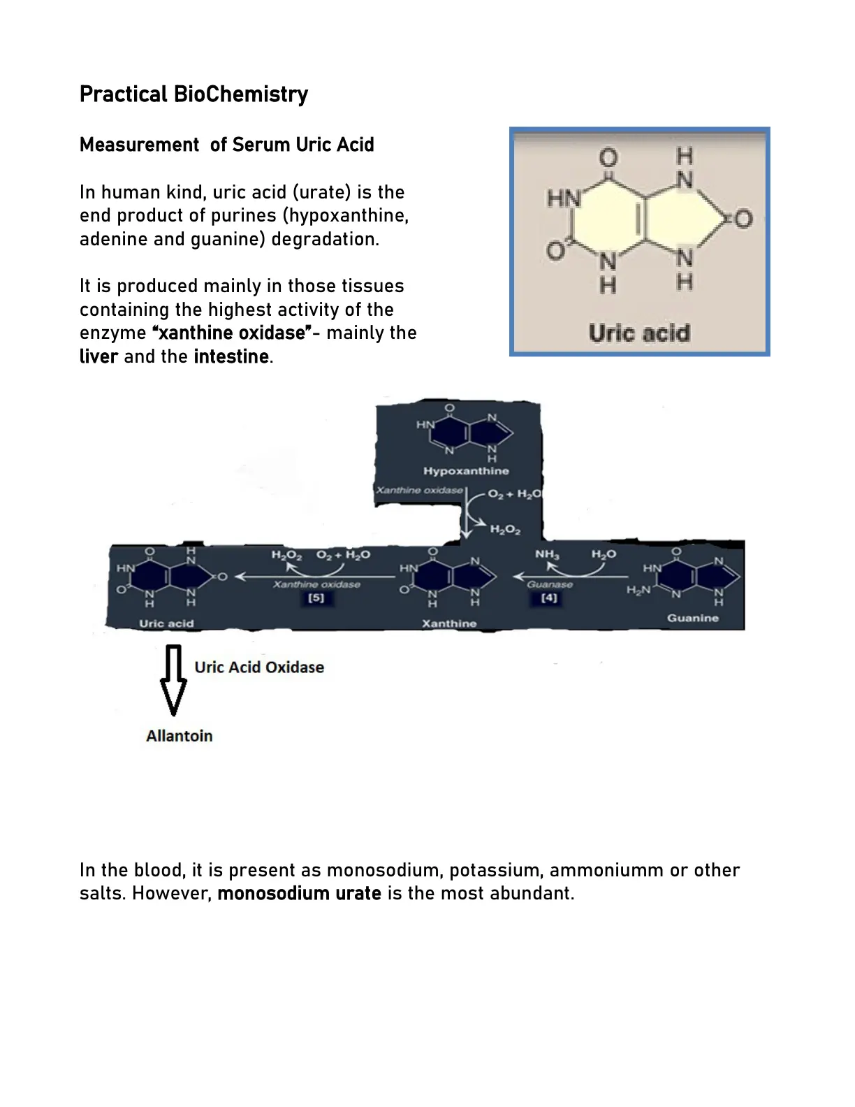 غلاف تقرير Practical Biochemistry Measurement of Serum Uric Acid