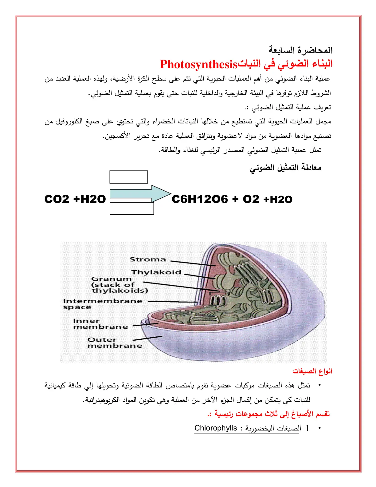غلاف تقرير البناء الضوئي في النبات Photosynthesis