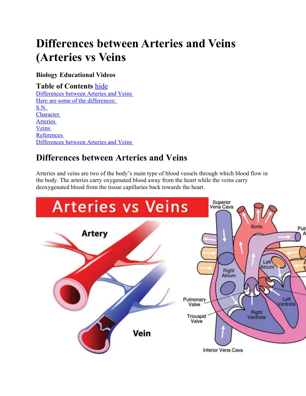 غلاف تقرير Differences between Arteries and Veins
