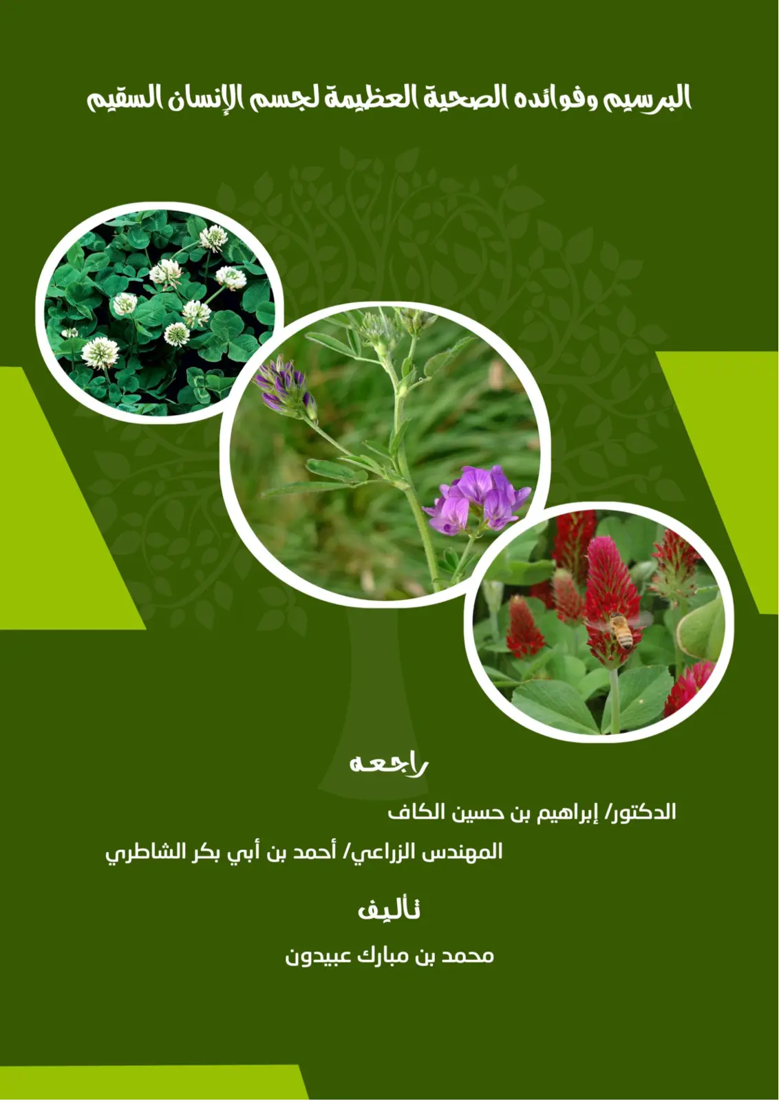 غلاف تقرير البرسيم وفوائده الصحية العظيمة لجسم الإنسان السقيم