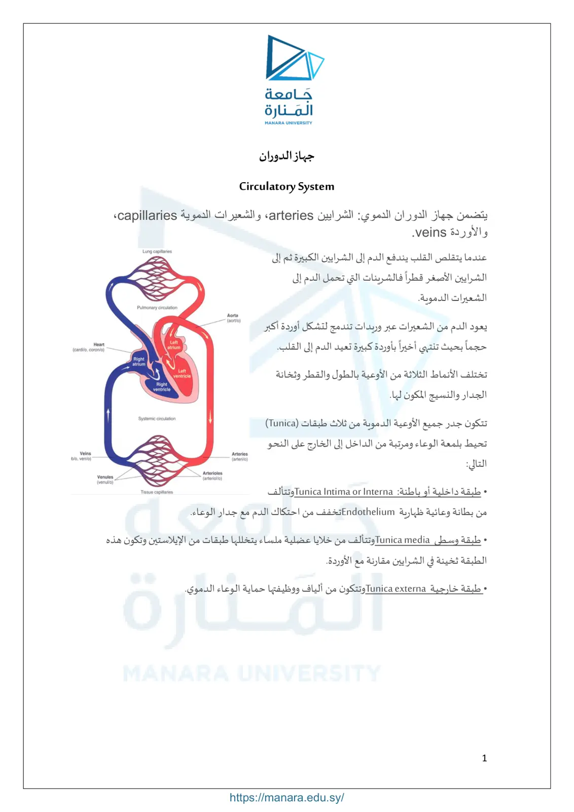 غلاف تقرير جهاز الدوران