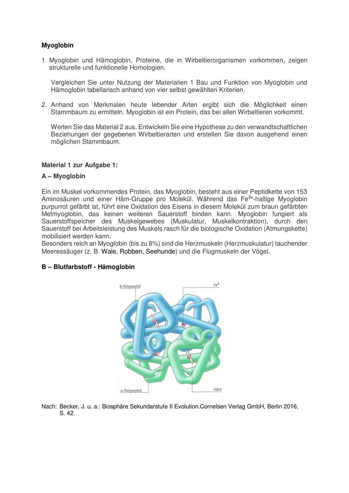 غلاف تقرير Myoglobin
