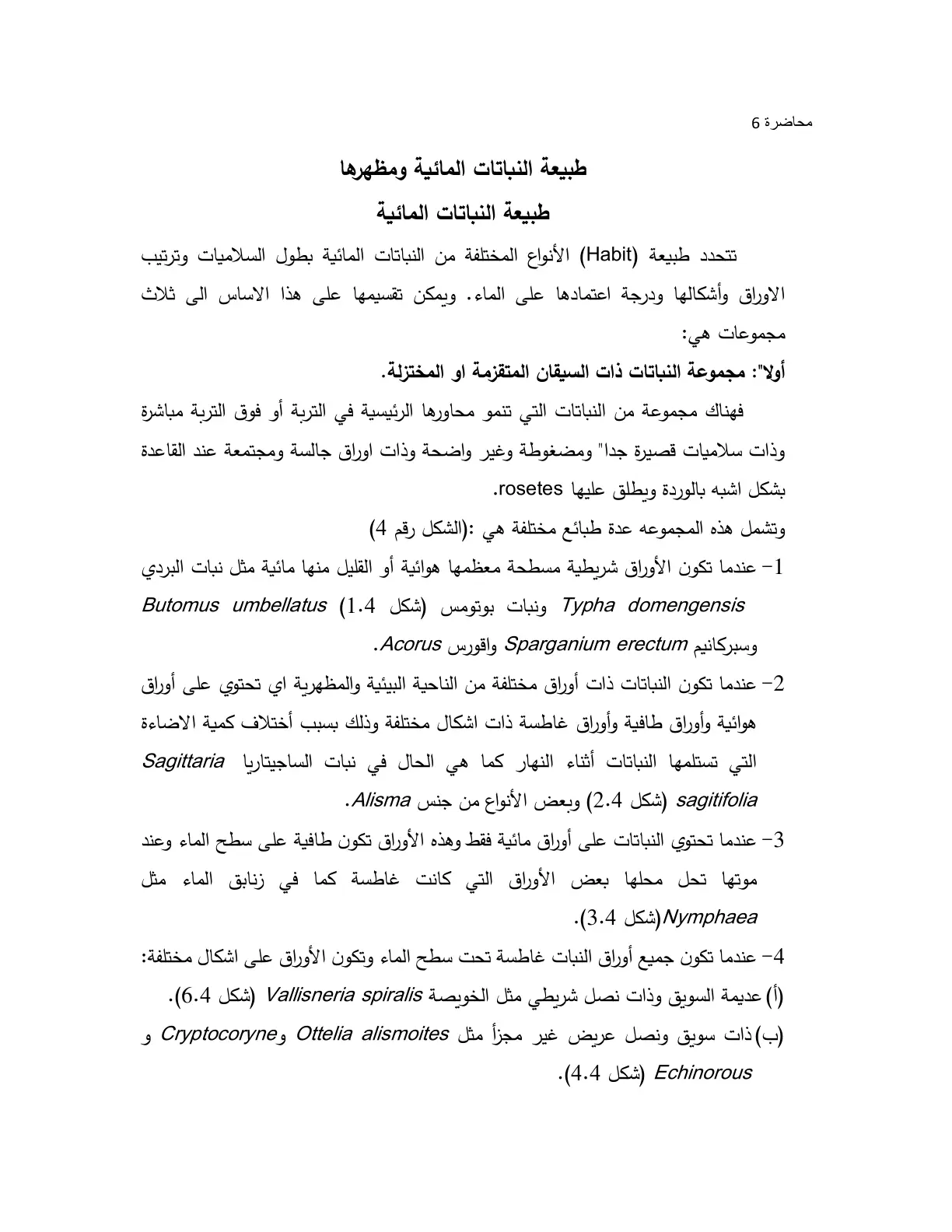 غلاف تقرير محاضرة 6: طبيعة النباتات المائية ومظهرها