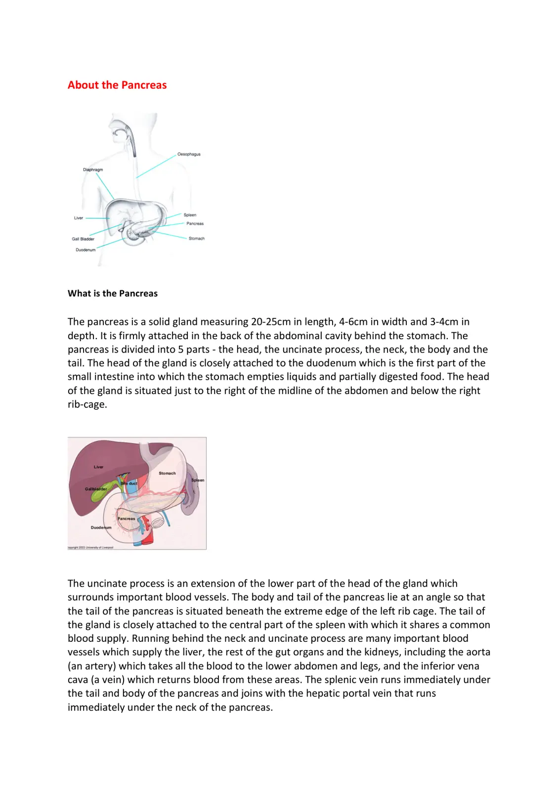 غلاف تقرير About the Pancreas
