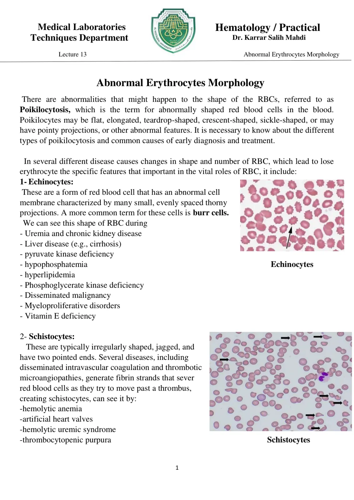 غلاف تقرير Abnormal Erythrocytes Morphology: Medical Laboratories Practical