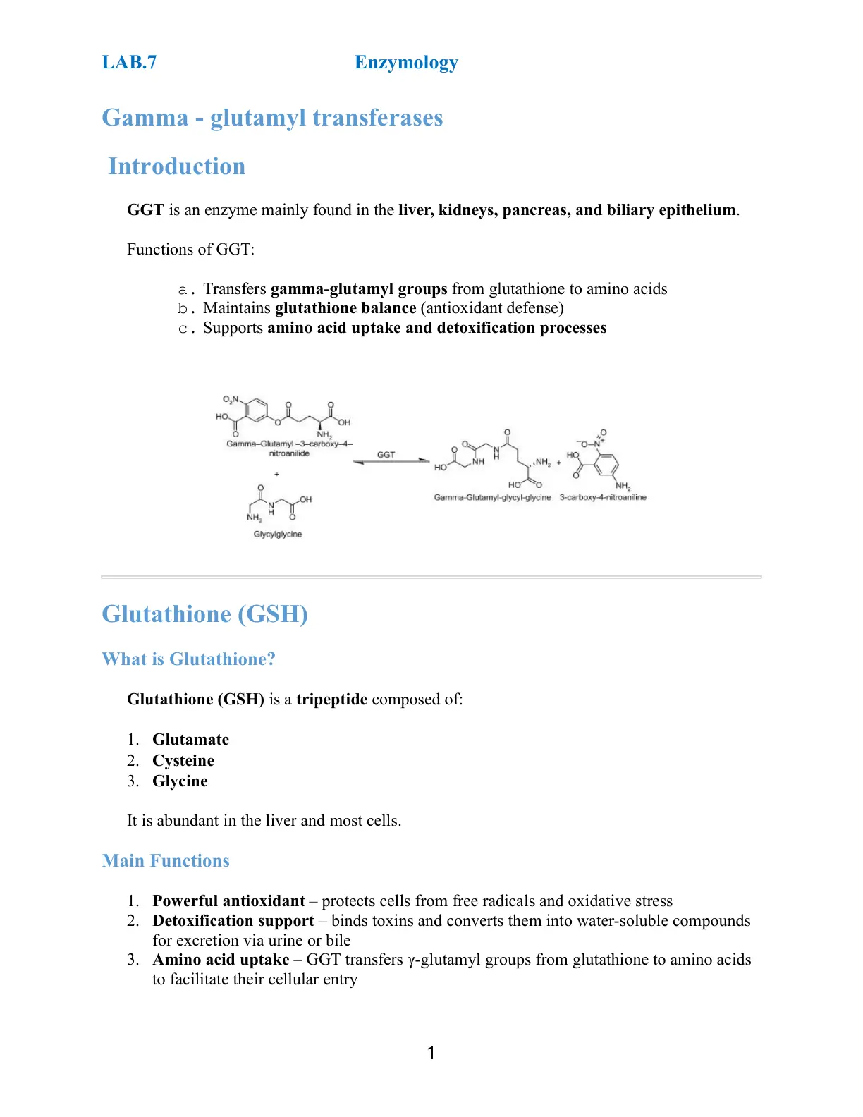 غلاف تقرير Lab 7 – Enzymology: Gamma-Glutamyl Transferases