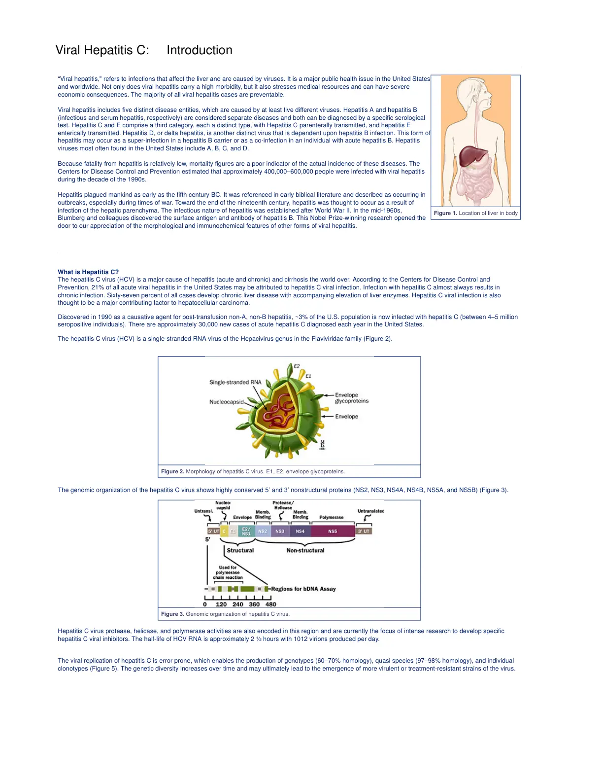 غلاف تقرير Viral Hepatitis C: