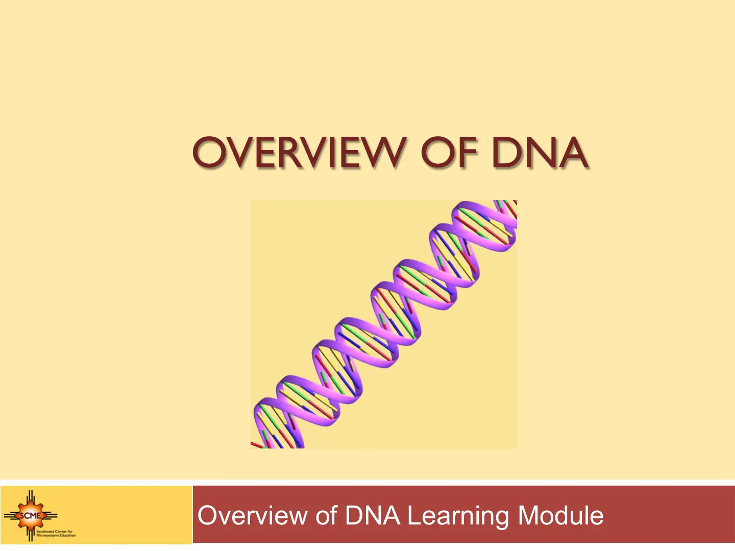 غلاف تقرير OVERVIEW OF DNA