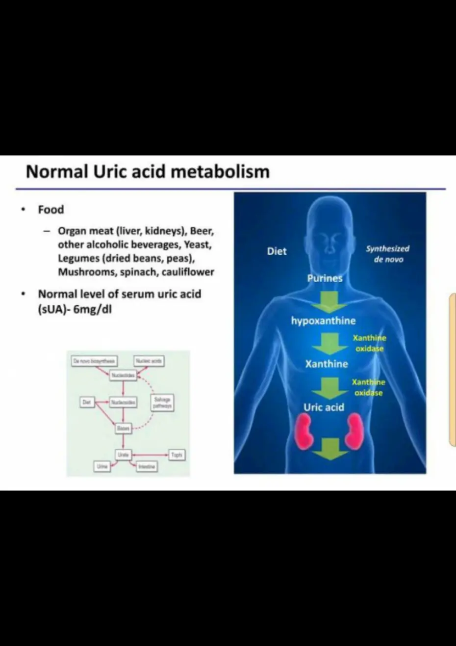 غلاف تقرير Normal Uric acid metabolism