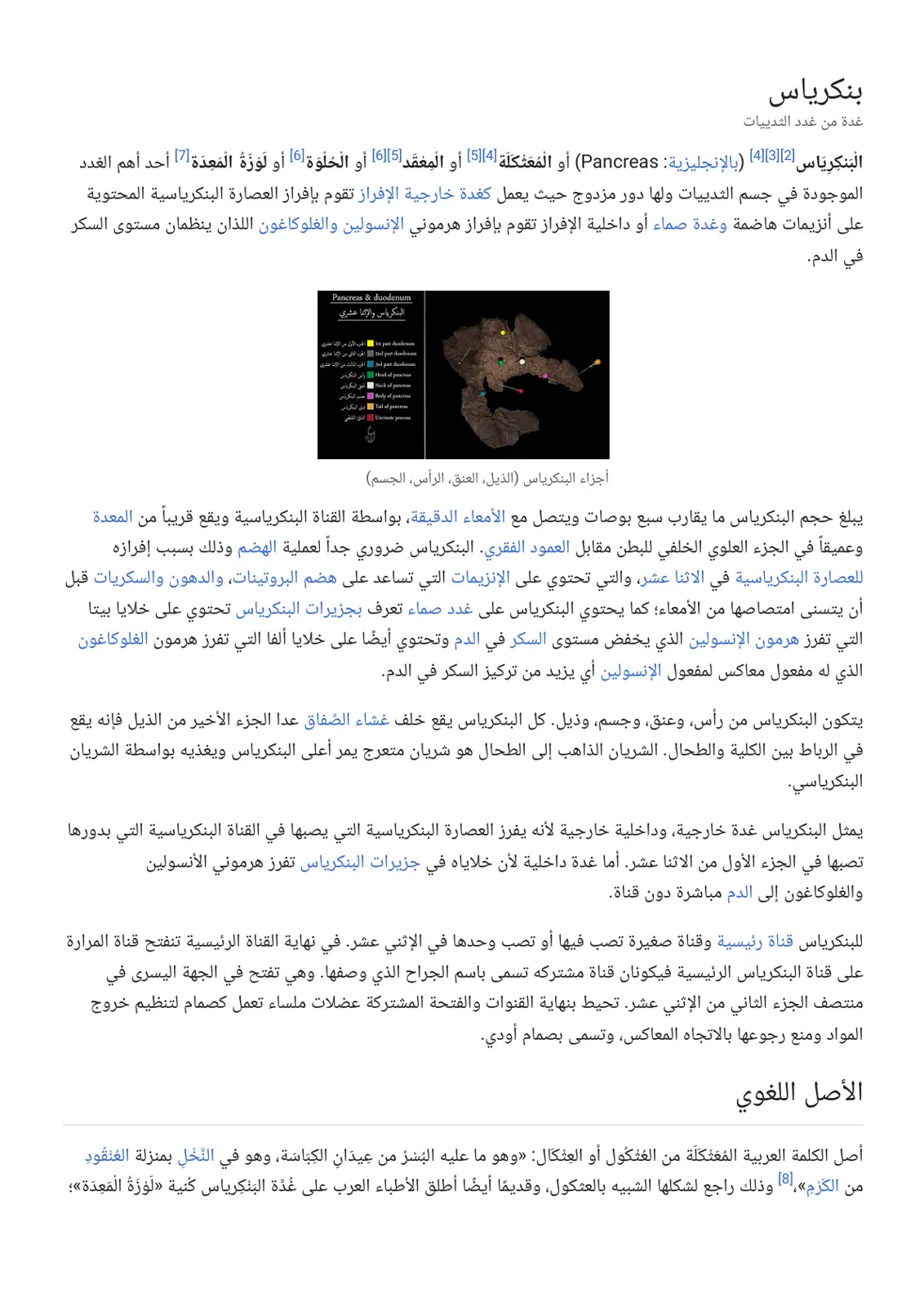 غلاف تقرير بنكرياس: غدة من غدد الثدييات