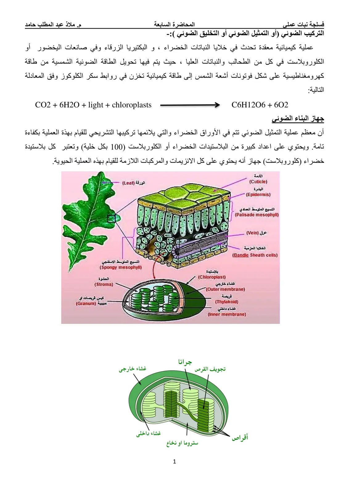 غلاف تقرير التركيب الضوئي أو التمثيل الضوئي أو التخليق الضوئي