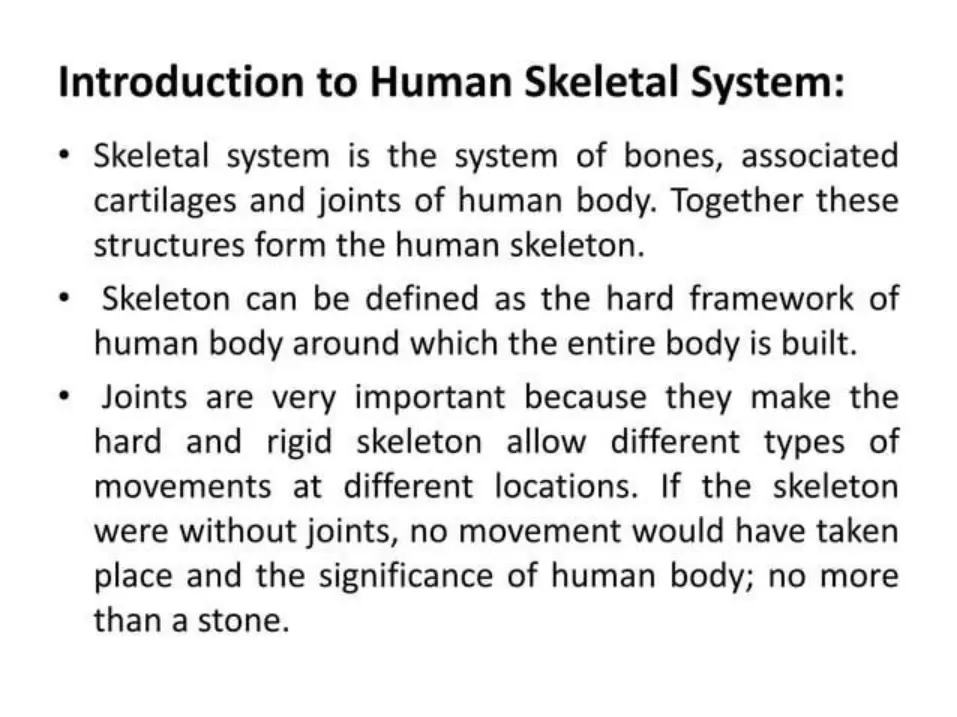 غلاف تقرير Introduction to Human Skeletal System