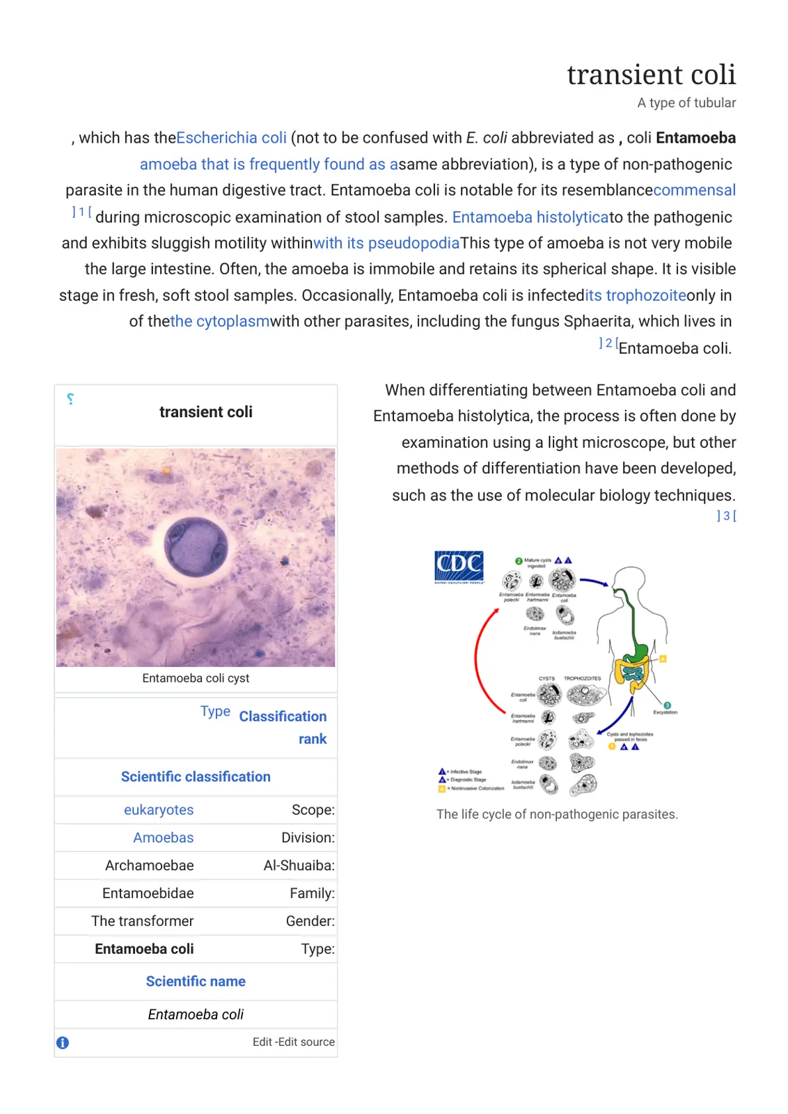 غلاف تقرير Entamoeba coli