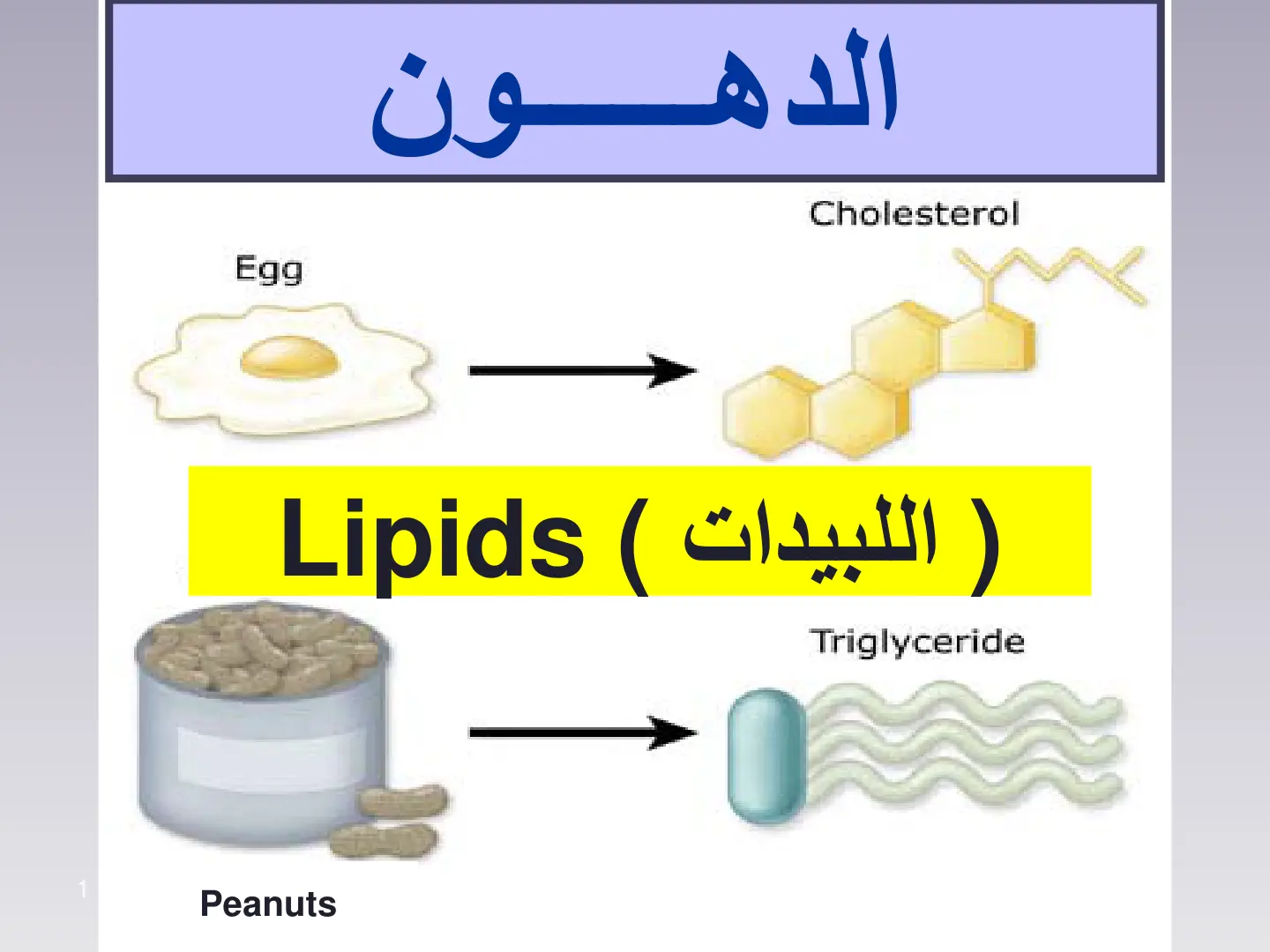 غلاف تقرير Lipids – Cholesterol – Triglyceride