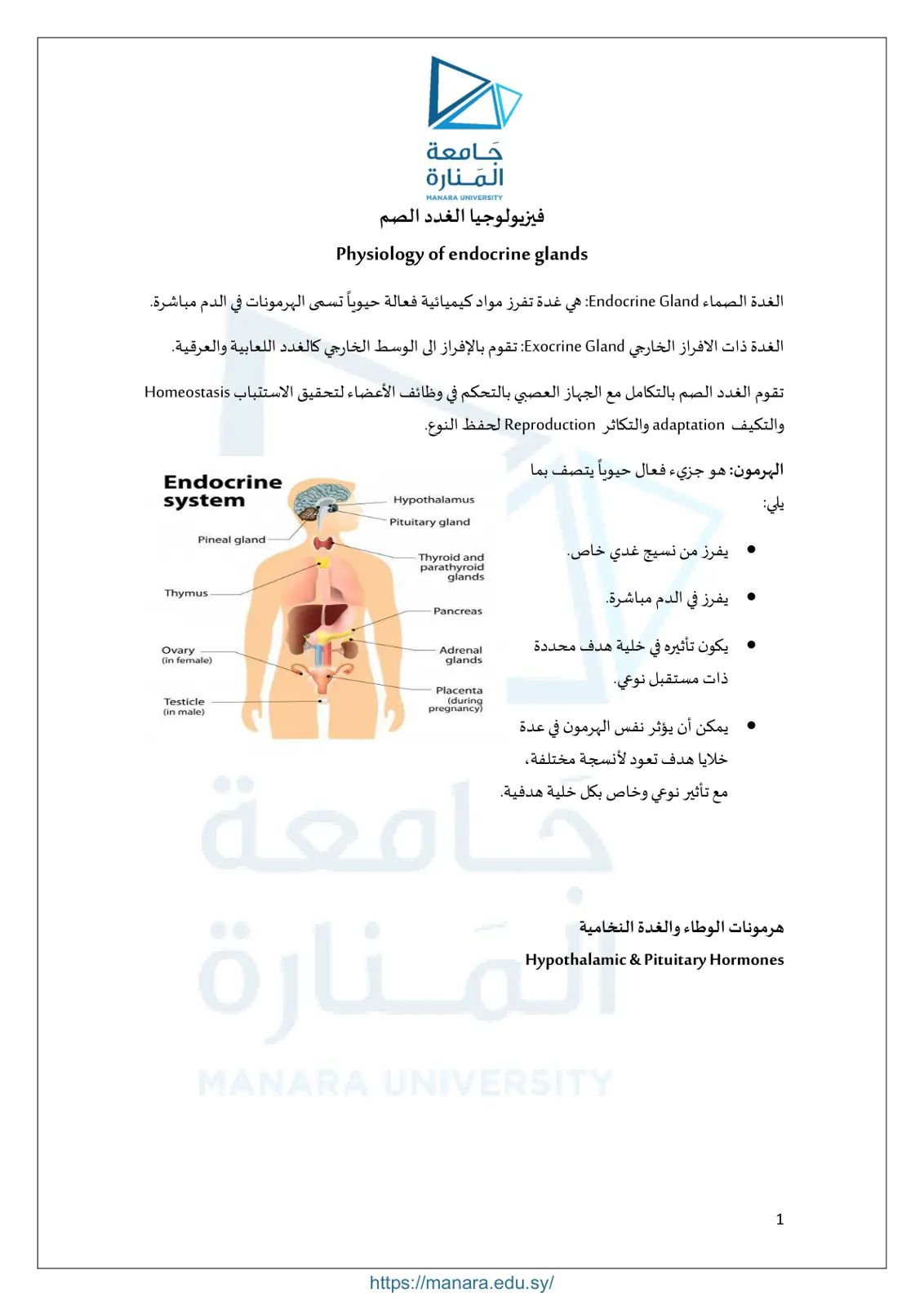 غلاف تقرير Physiology of endocrine glands - فيزيولوجيا الغدد الصماء