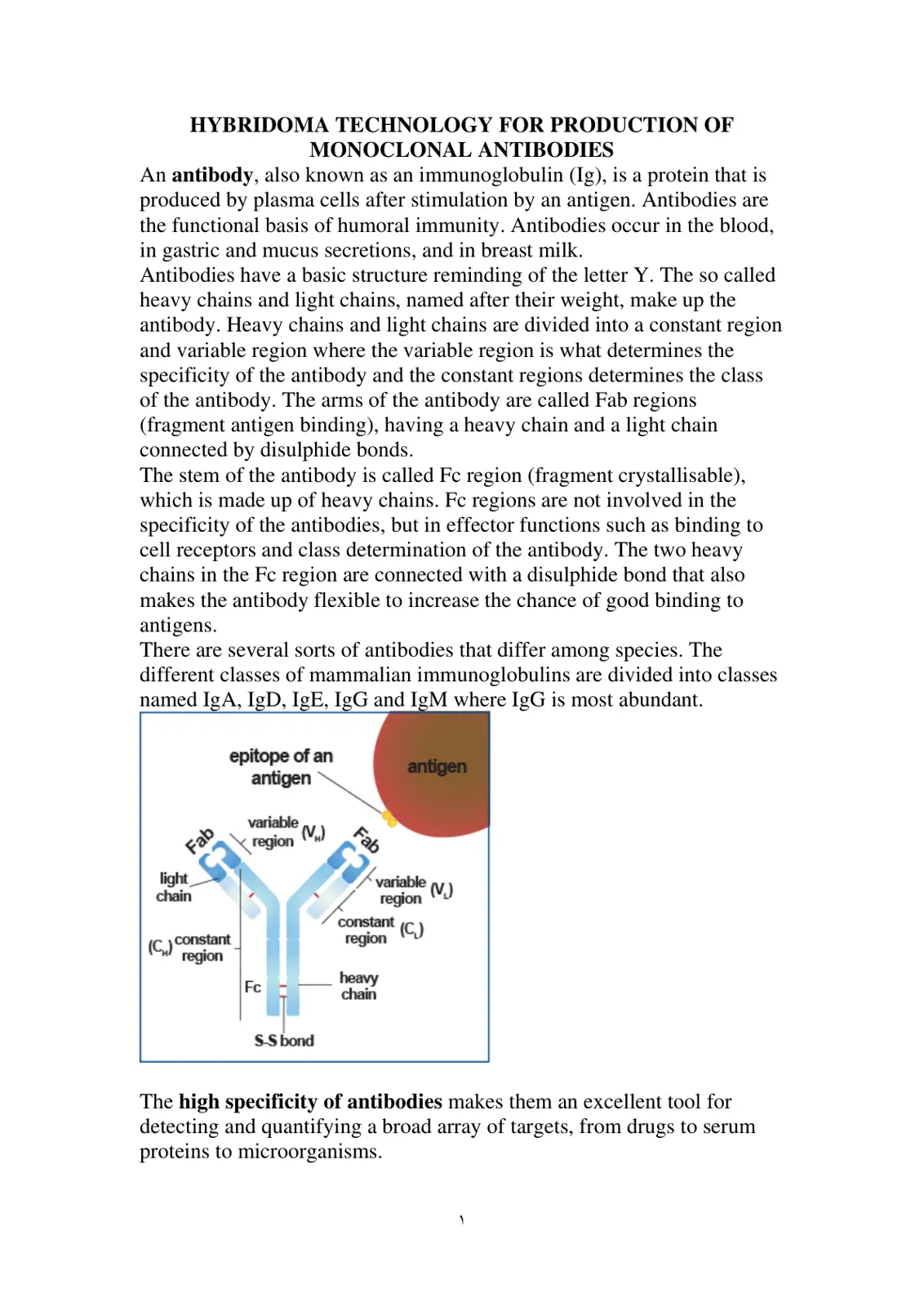 غلاف تقرير HYBRIDOMA TECHNOLOGY FOR PRODUCTION OF MONOCLONAL ANTIBODIES