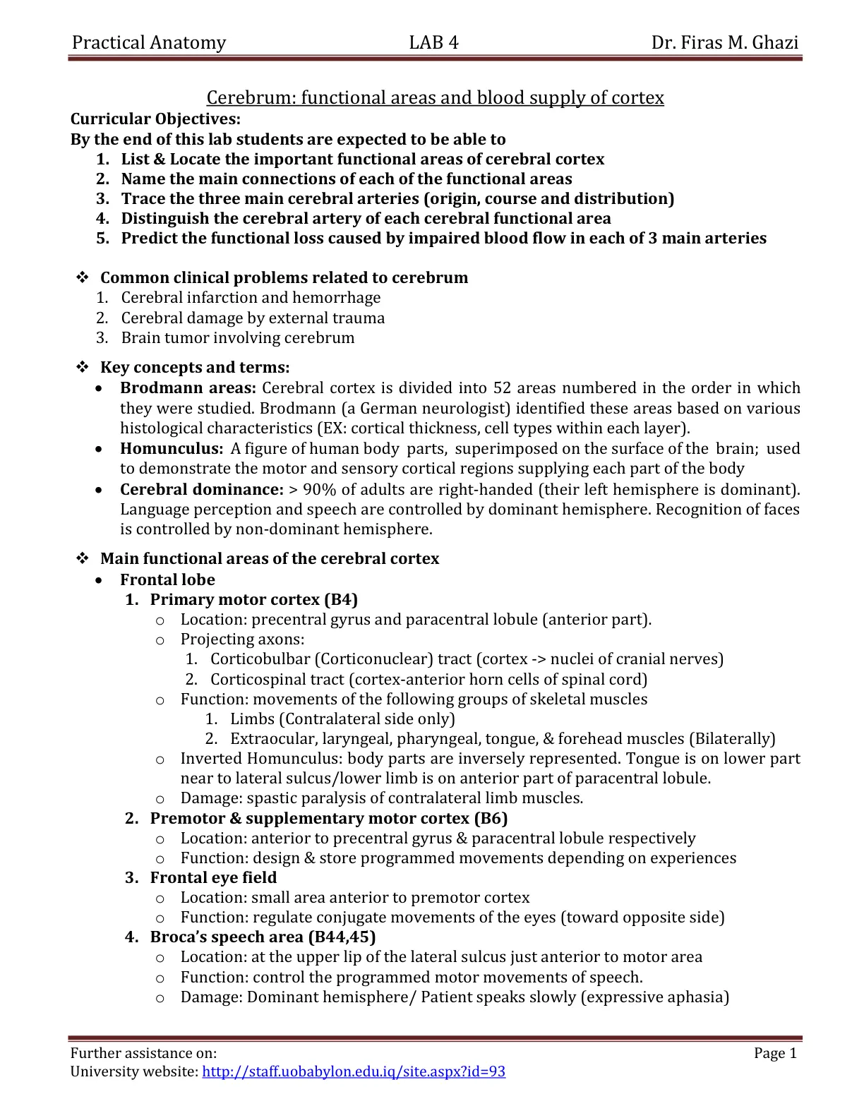 غلاف تقرير Practical Anatomy Lab 4