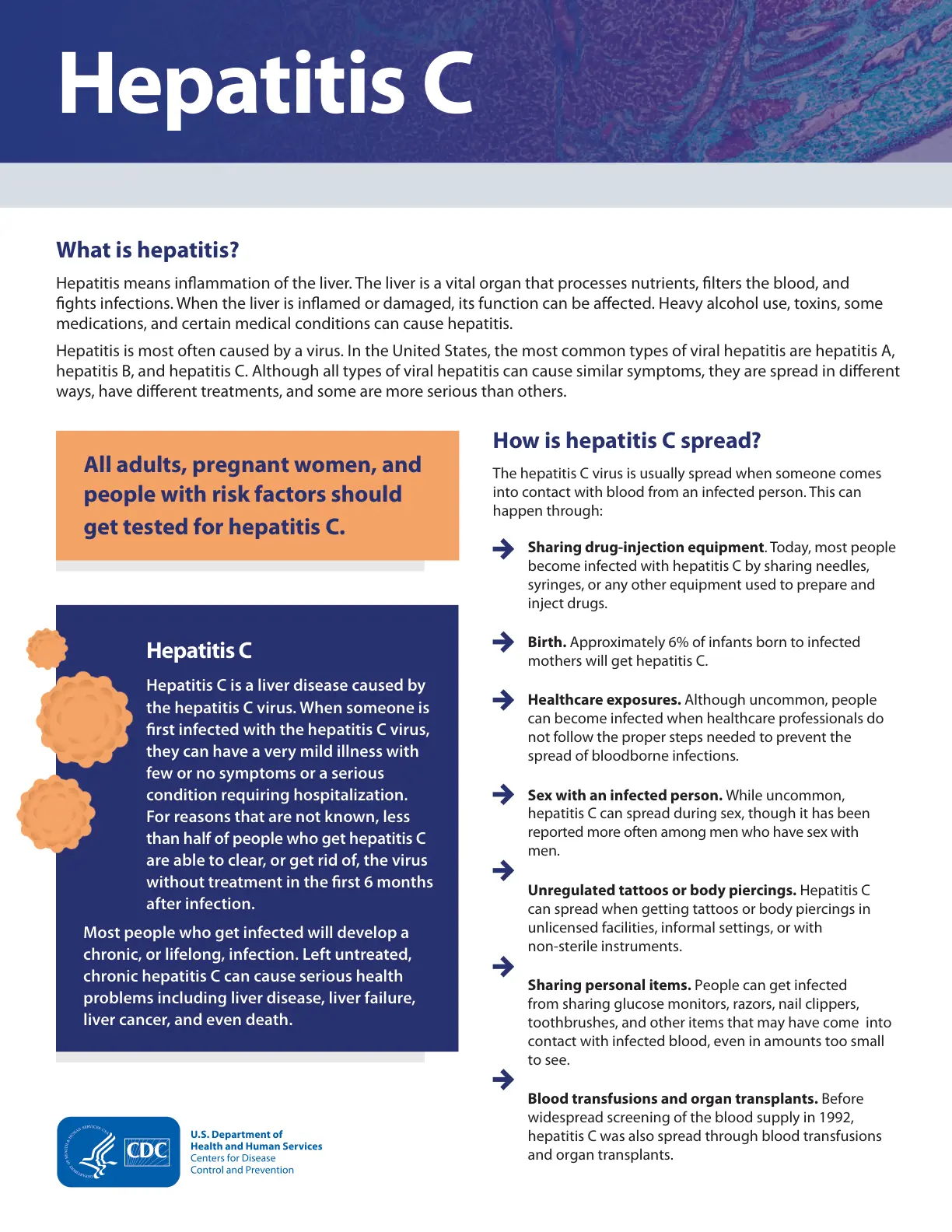 غلاف تقرير Hepatitis C