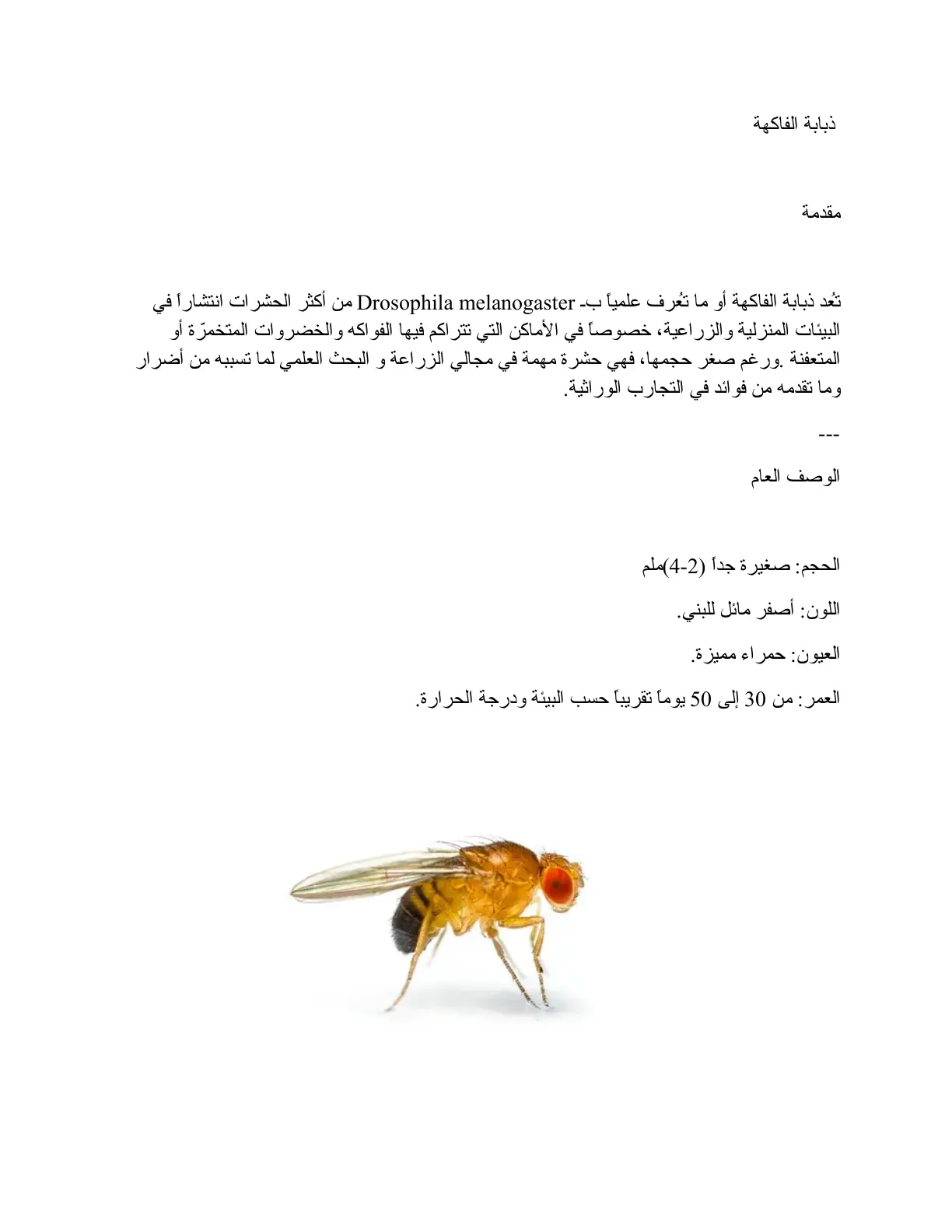 غلاف تقرير ذبابة الفاكهة